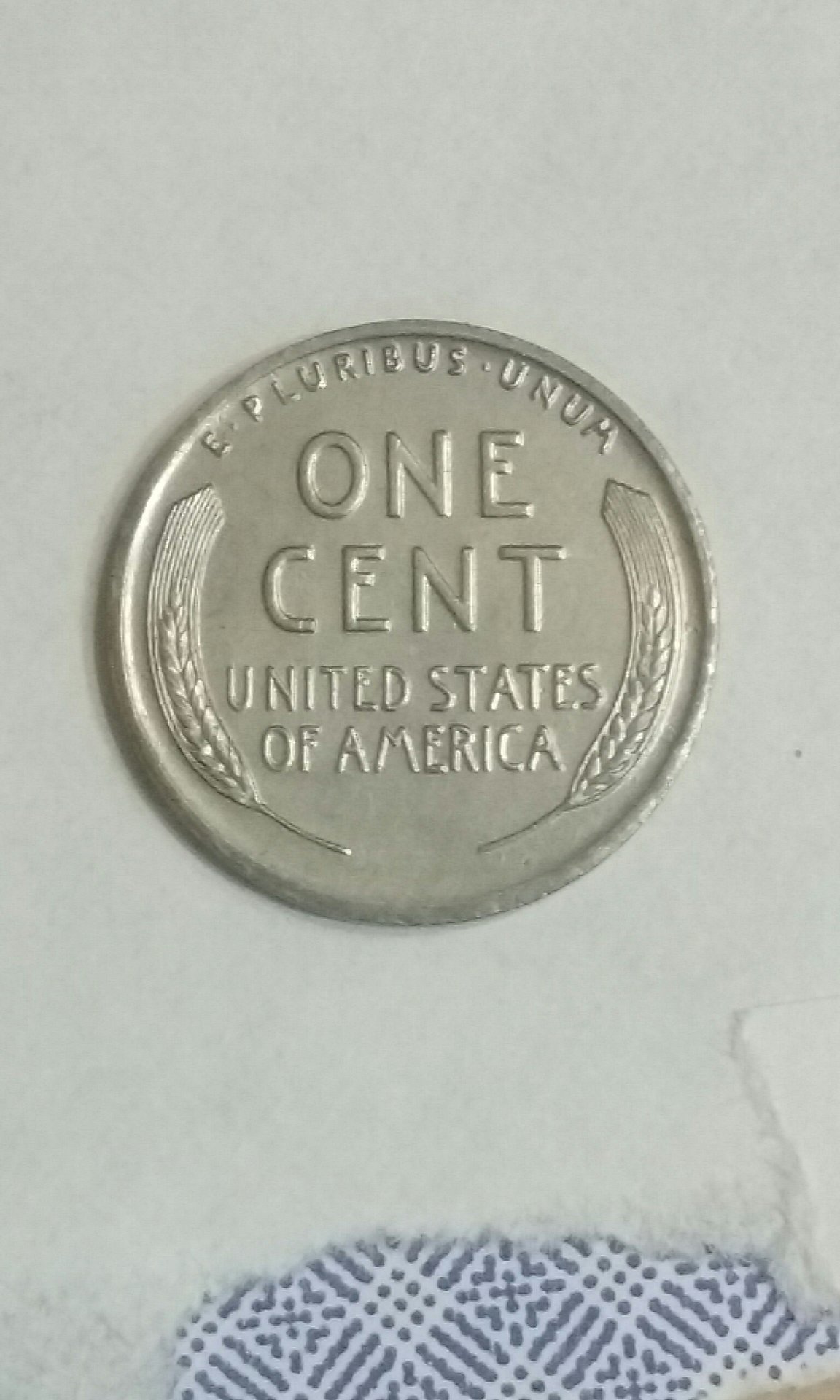 CM180503-213804003.jpg