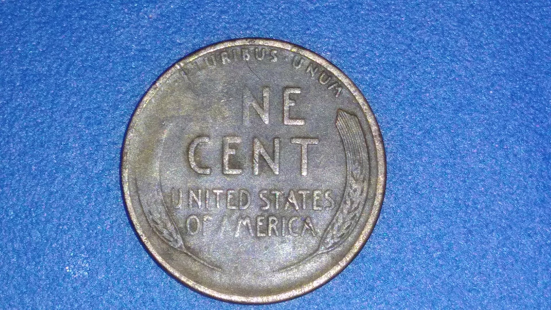 CM180529-123835014.jpg