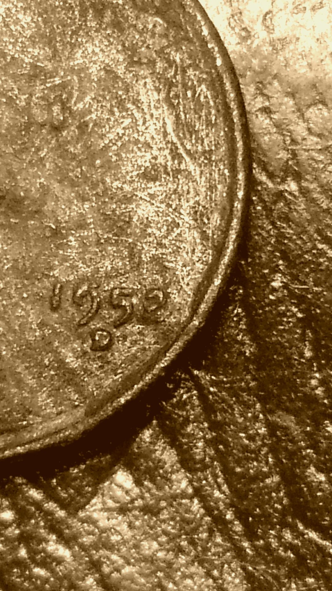 CM180624-034758010.jpg