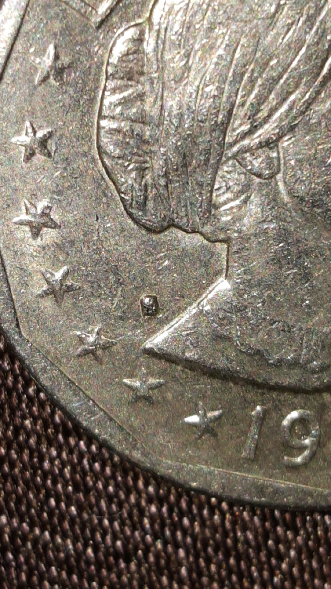 CM180709-205723004.jpg