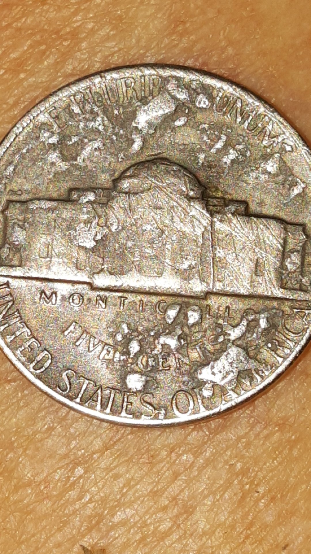 CM180721-095123002.jpg