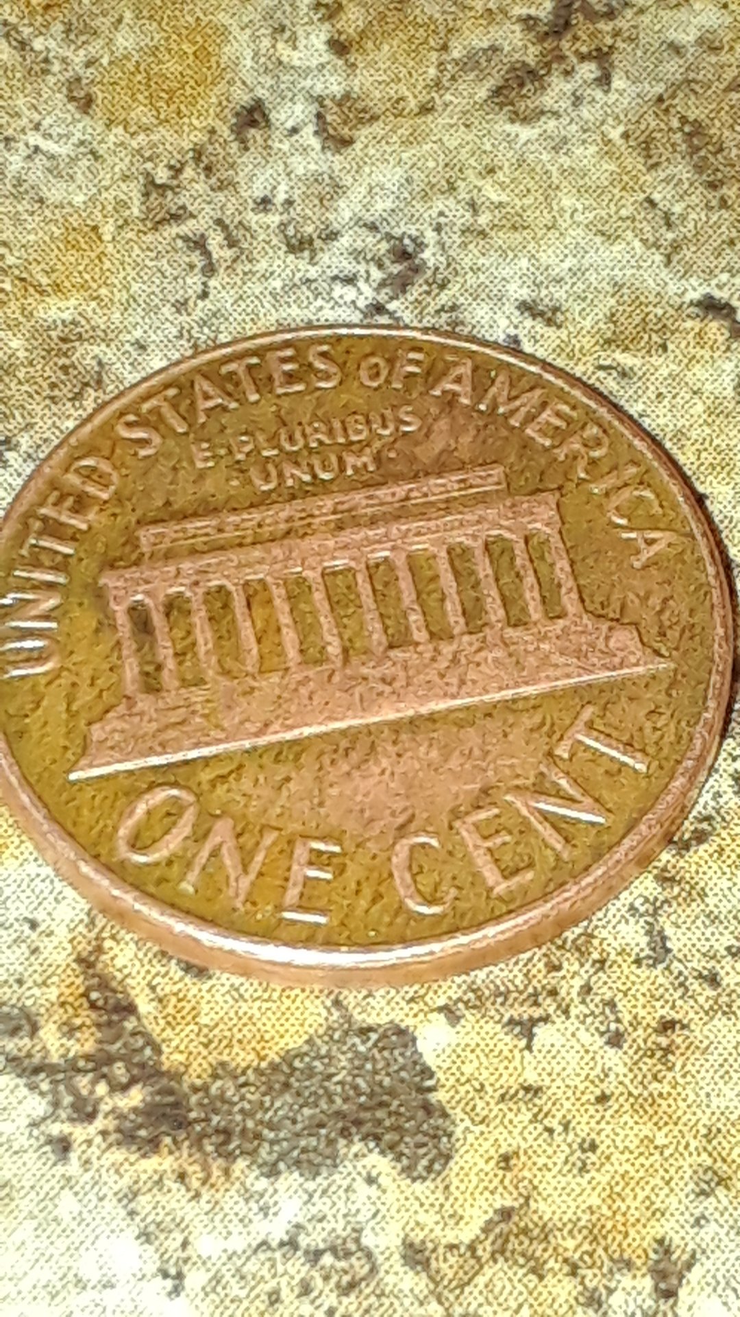 CM180725-235736005.jpg