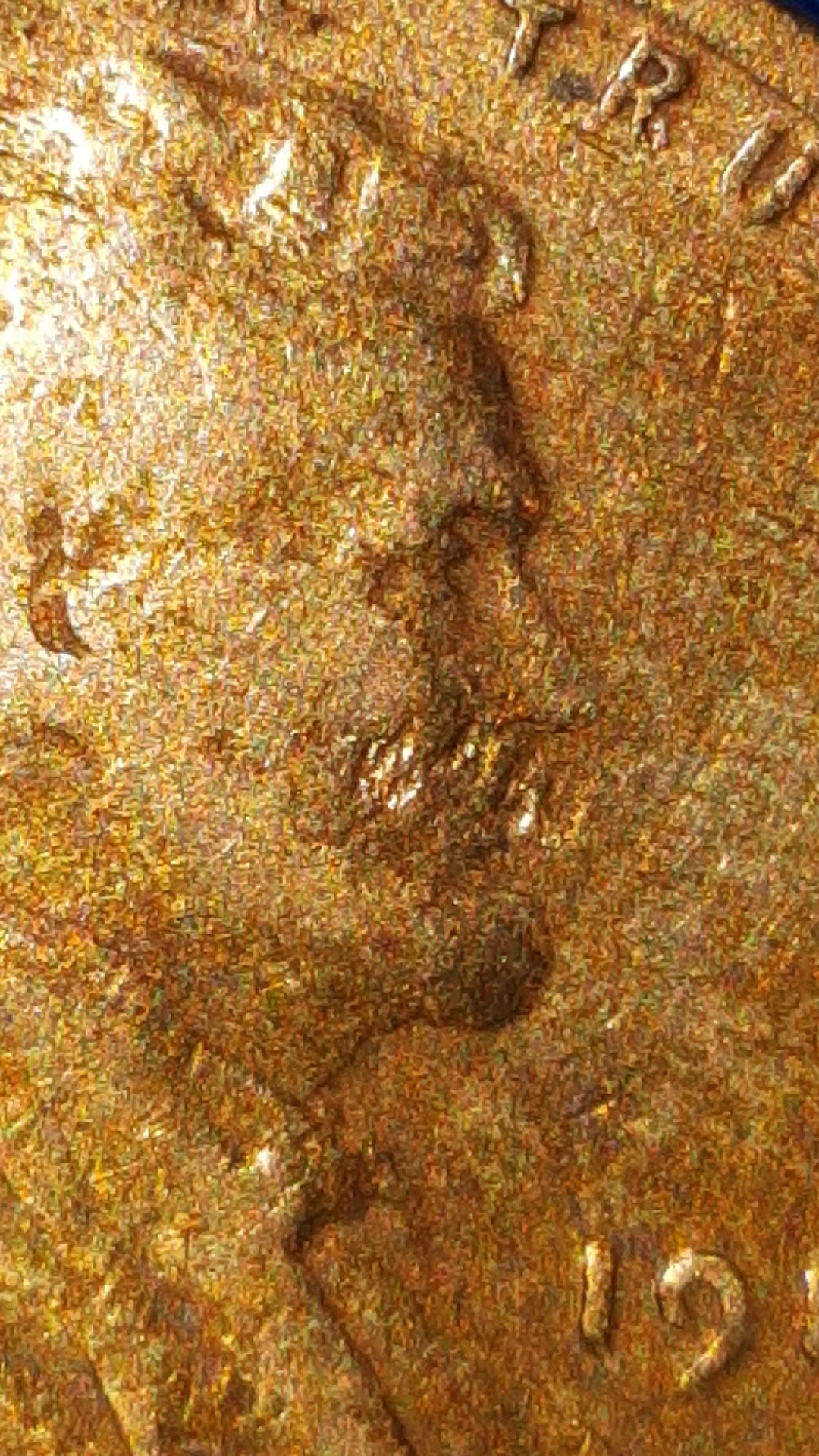 CM180801-144452002.jpg