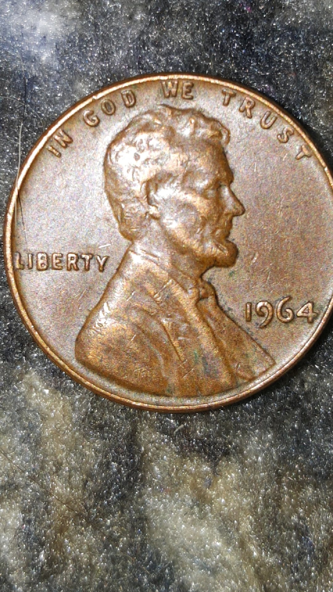 CM180816-122226006.jpg
