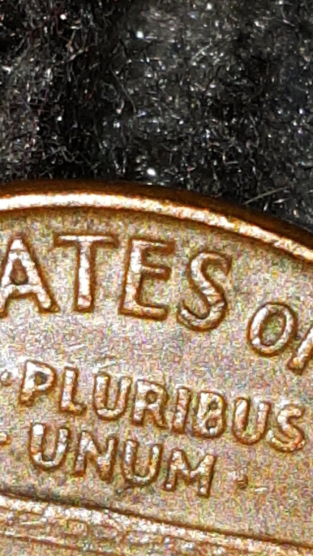 CM180816-125837005.jpg