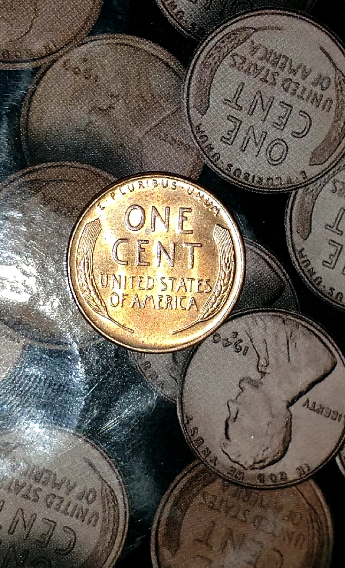 CM180827-090746002.jpg