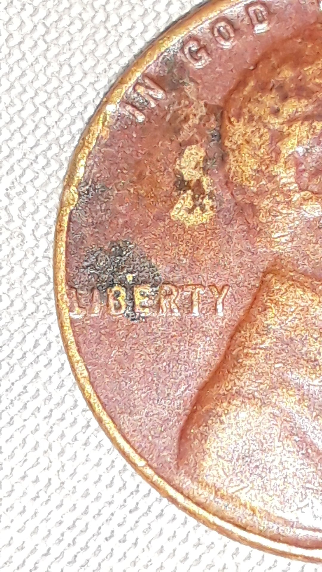 CM180915-033002004.jpg
