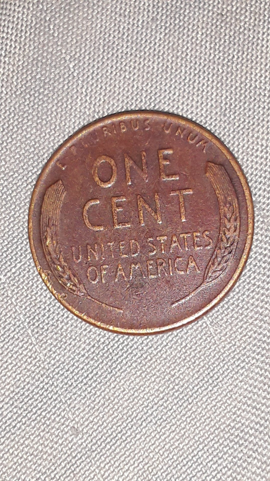 CM180915-033138006.jpg