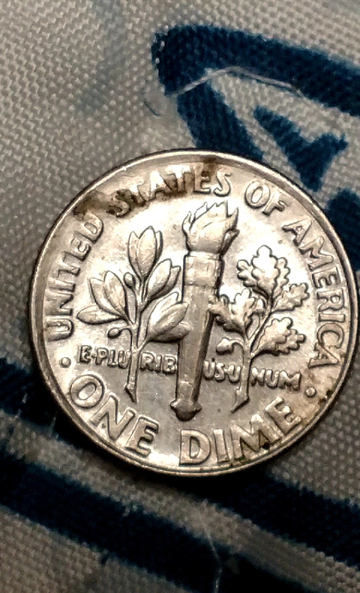 CM181001-203522005.jpg