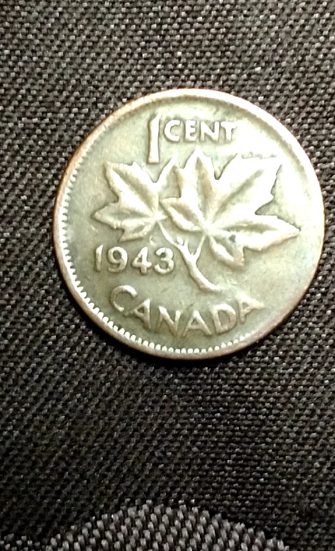 CM181008-202532002.jpg