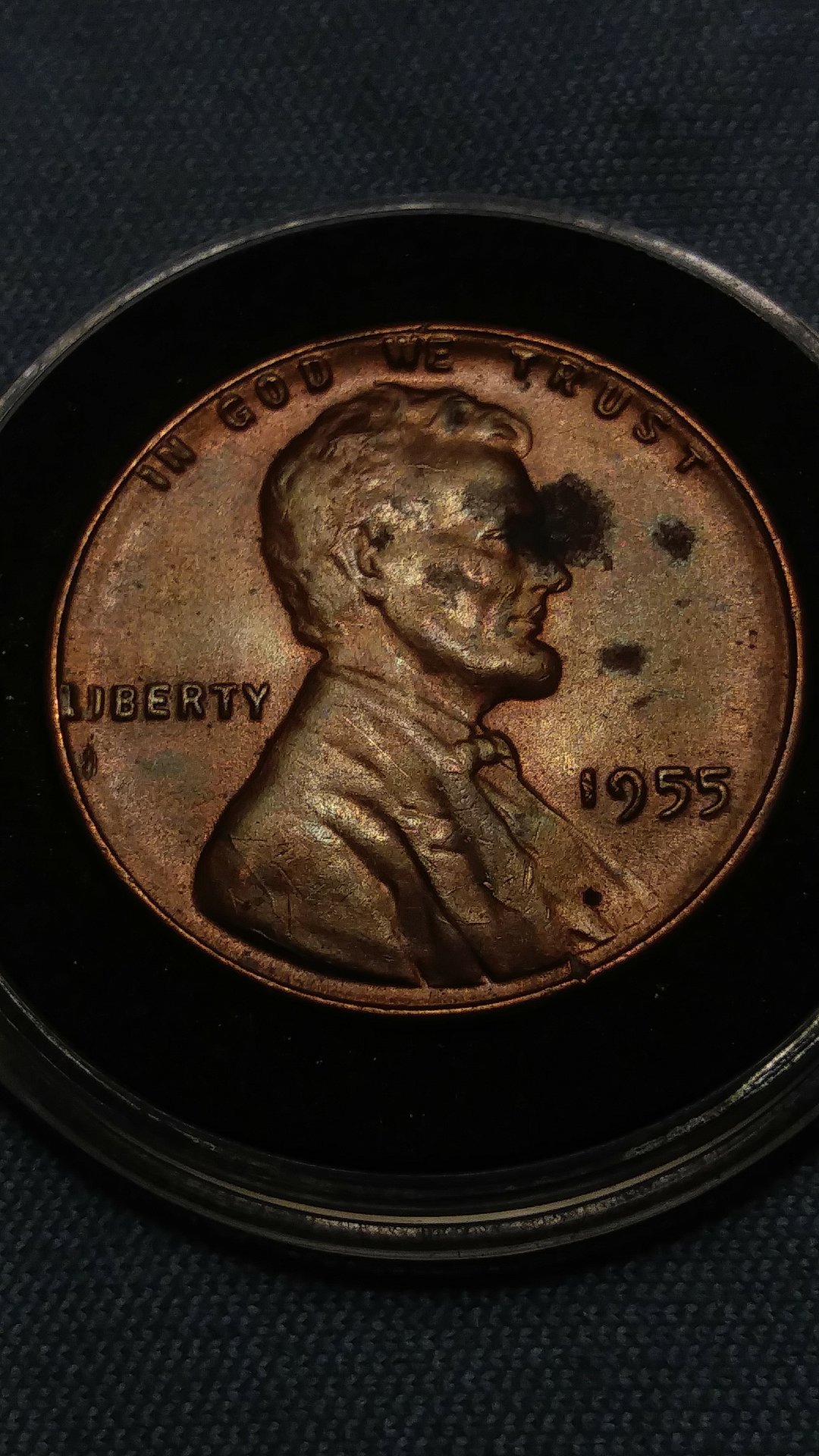 CM181015-053505033.jpg