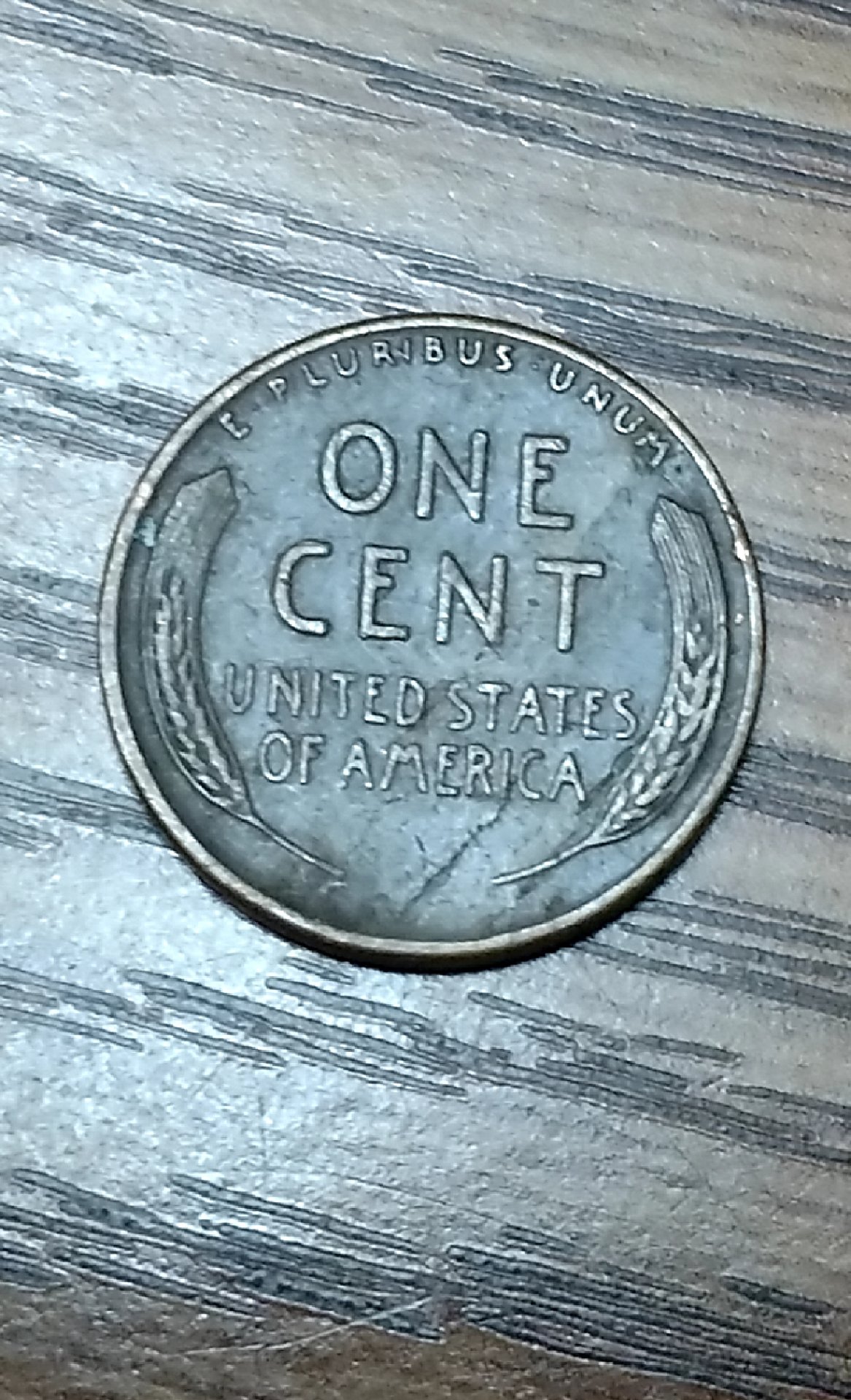 CM181026-155544001.jpg