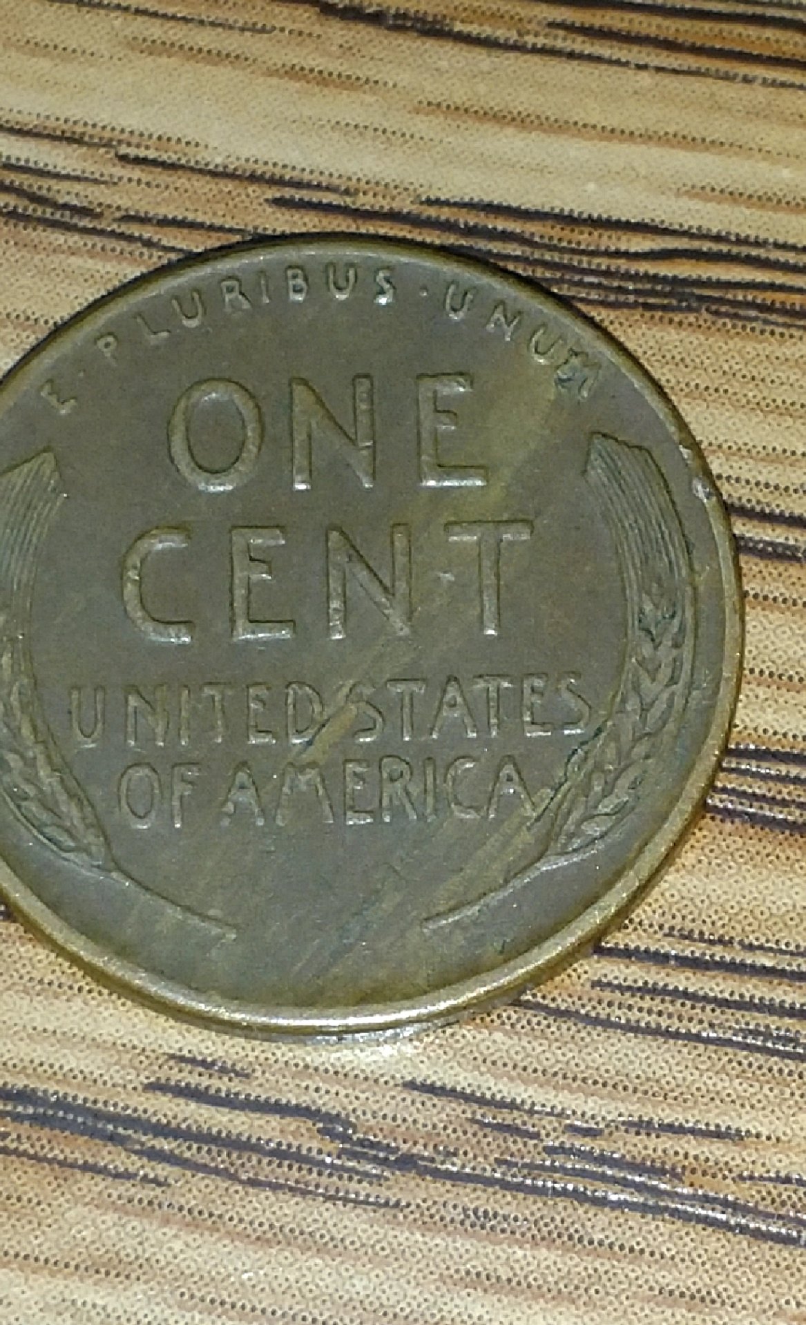 CM181026-155646005.jpg