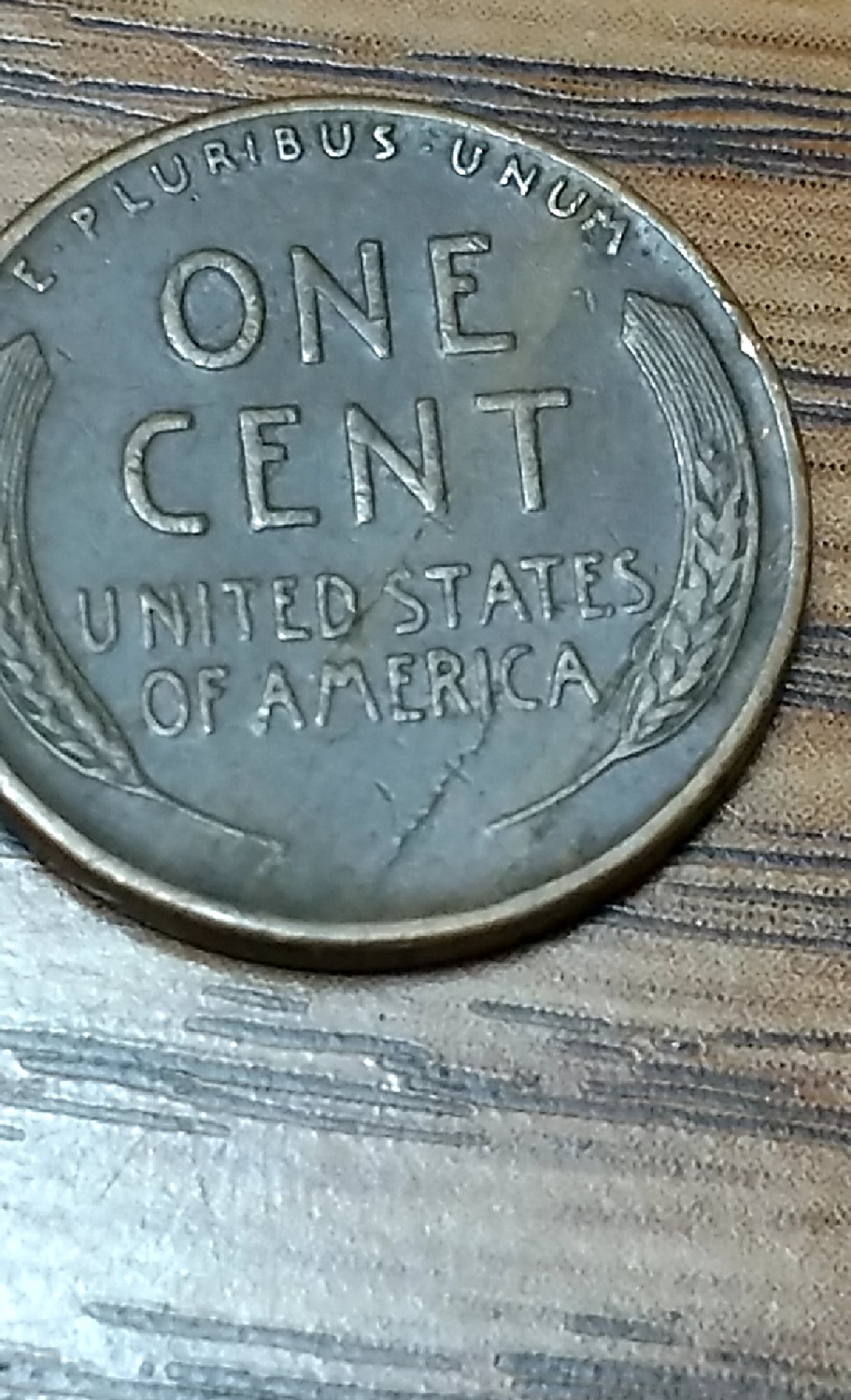 CM181026-155716007.jpg