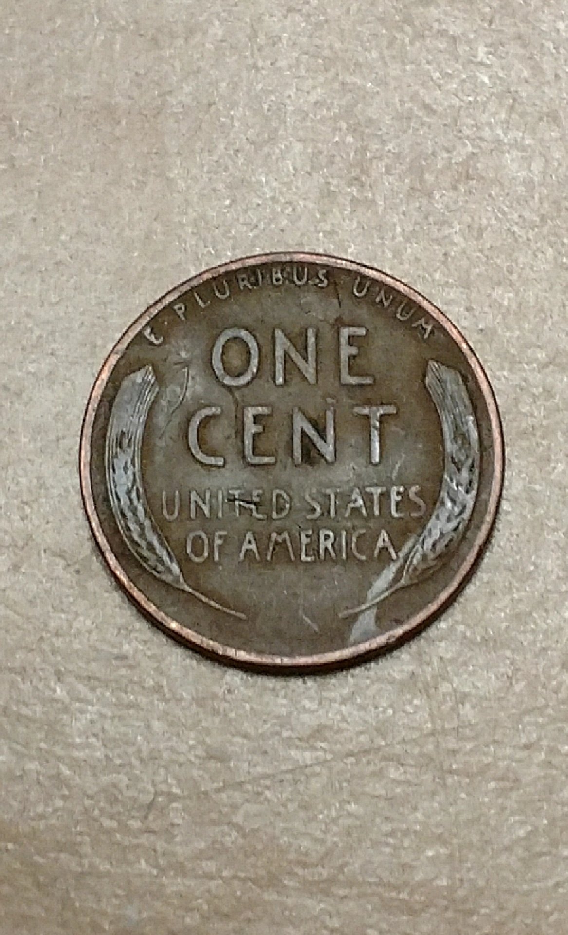 CM181105-163755002.jpg
