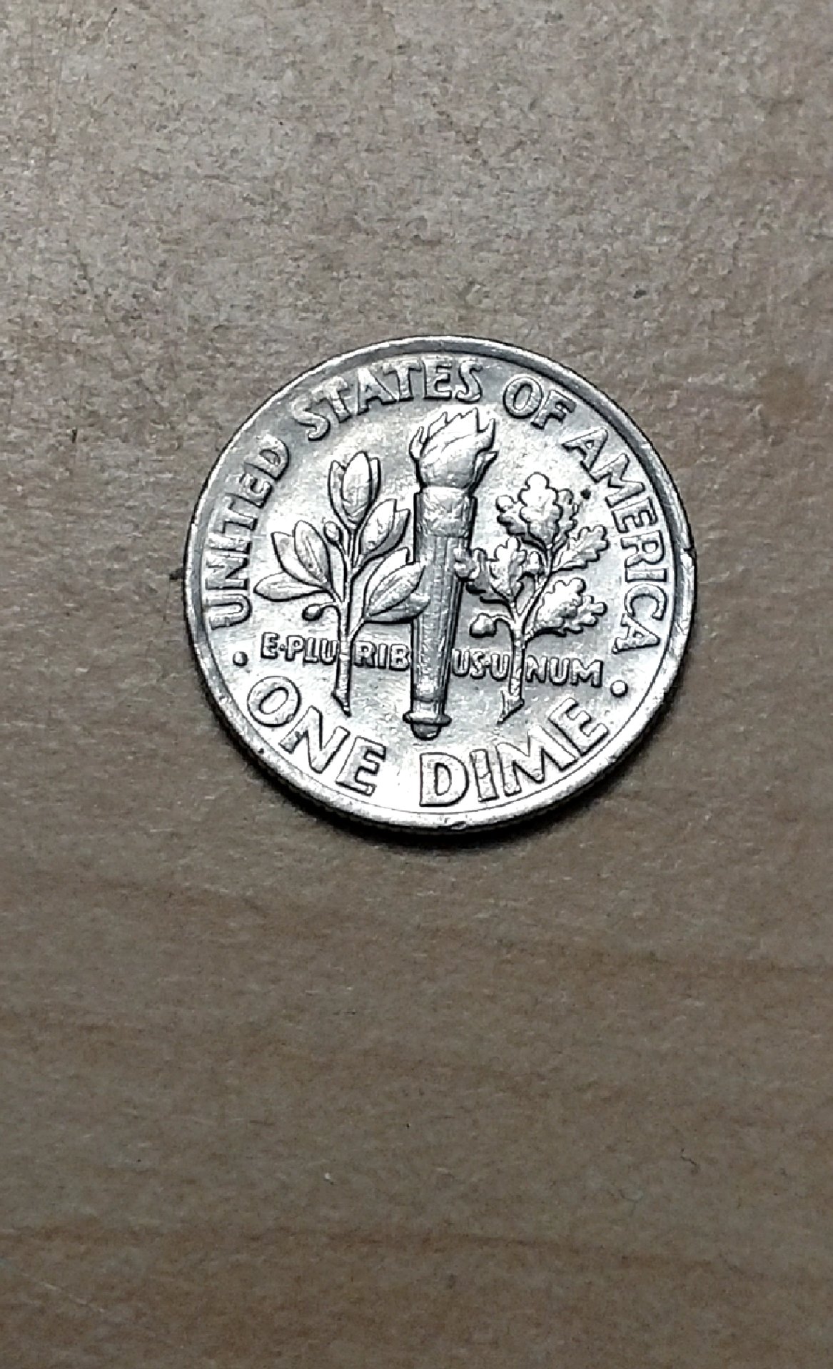 CM181109-132112001.jpg