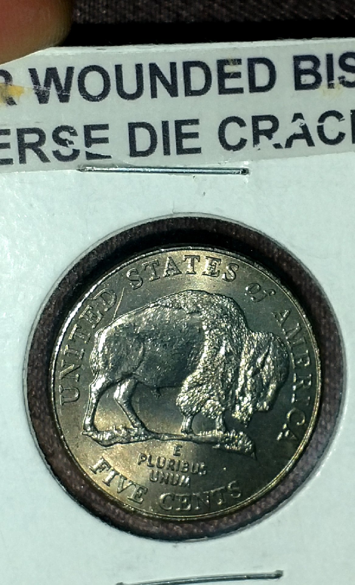 CM181209-170804011.jpg