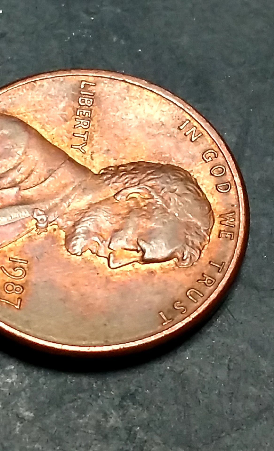 CM181222-082153009.jpg
