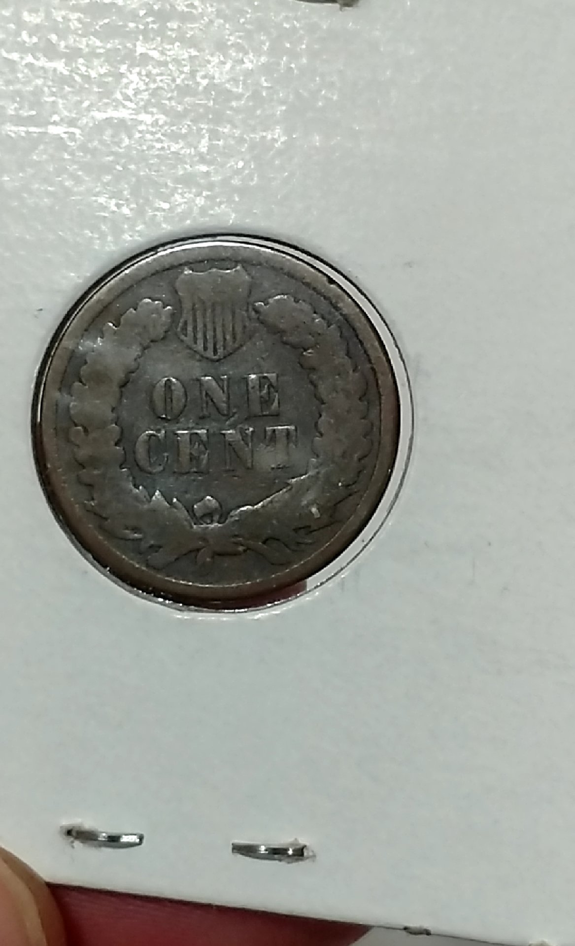 CM190114-151222011.jpg