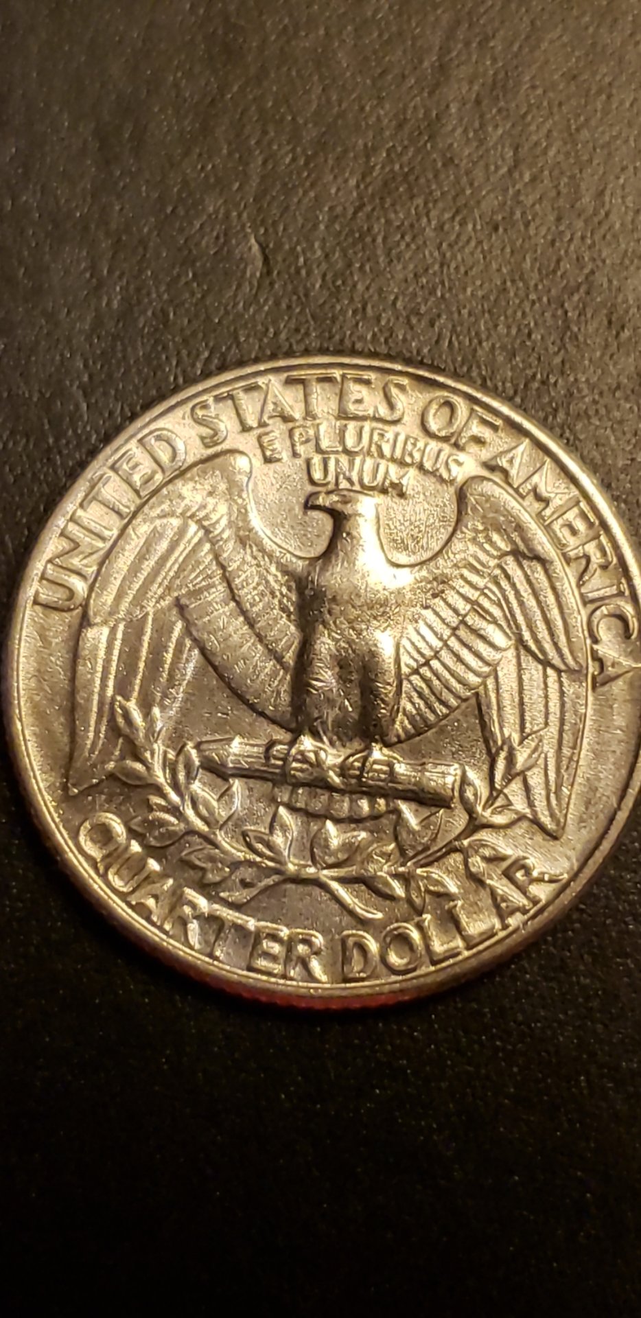 CM190116-222855024.jpg