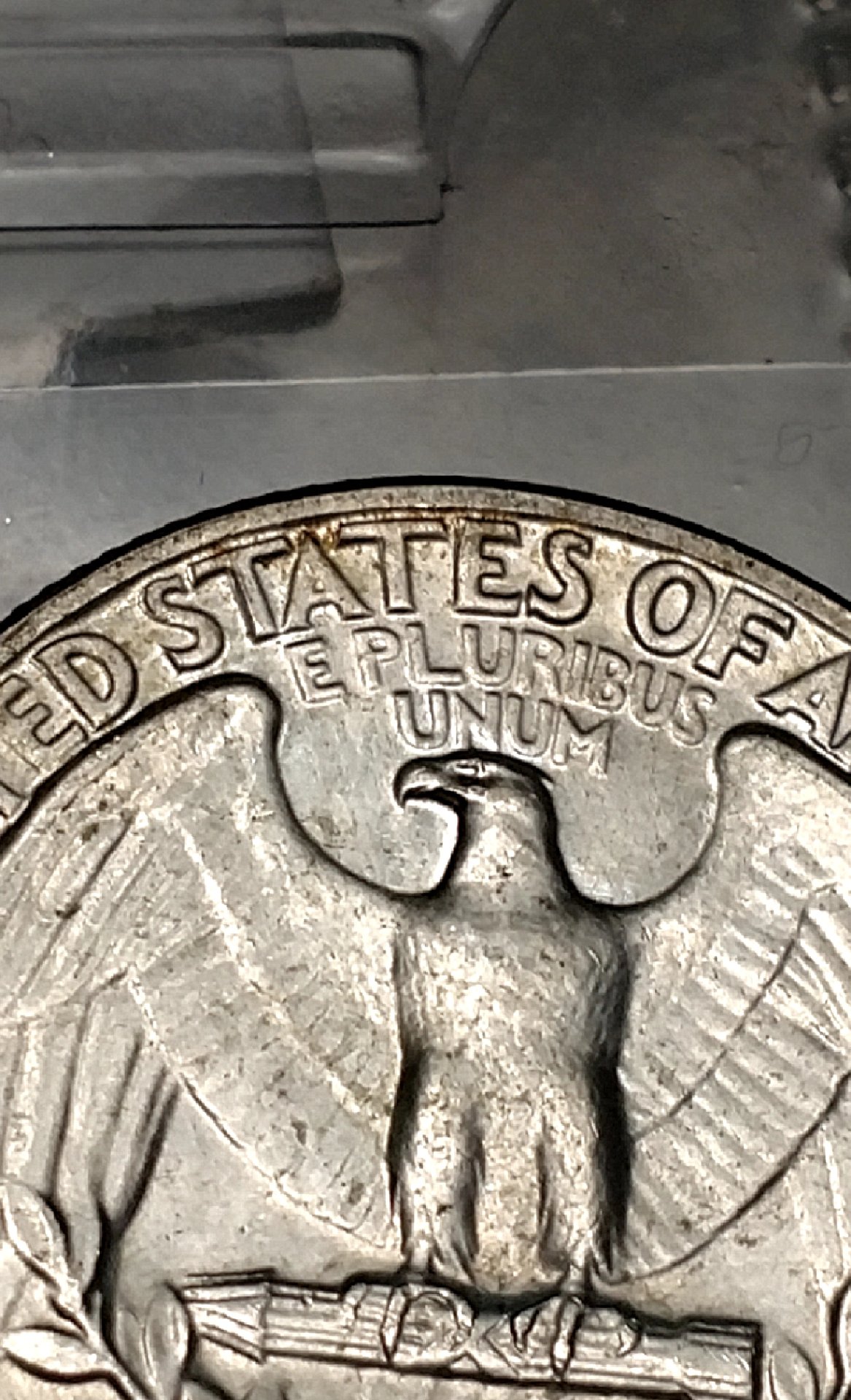 CM190121-084031009.jpg