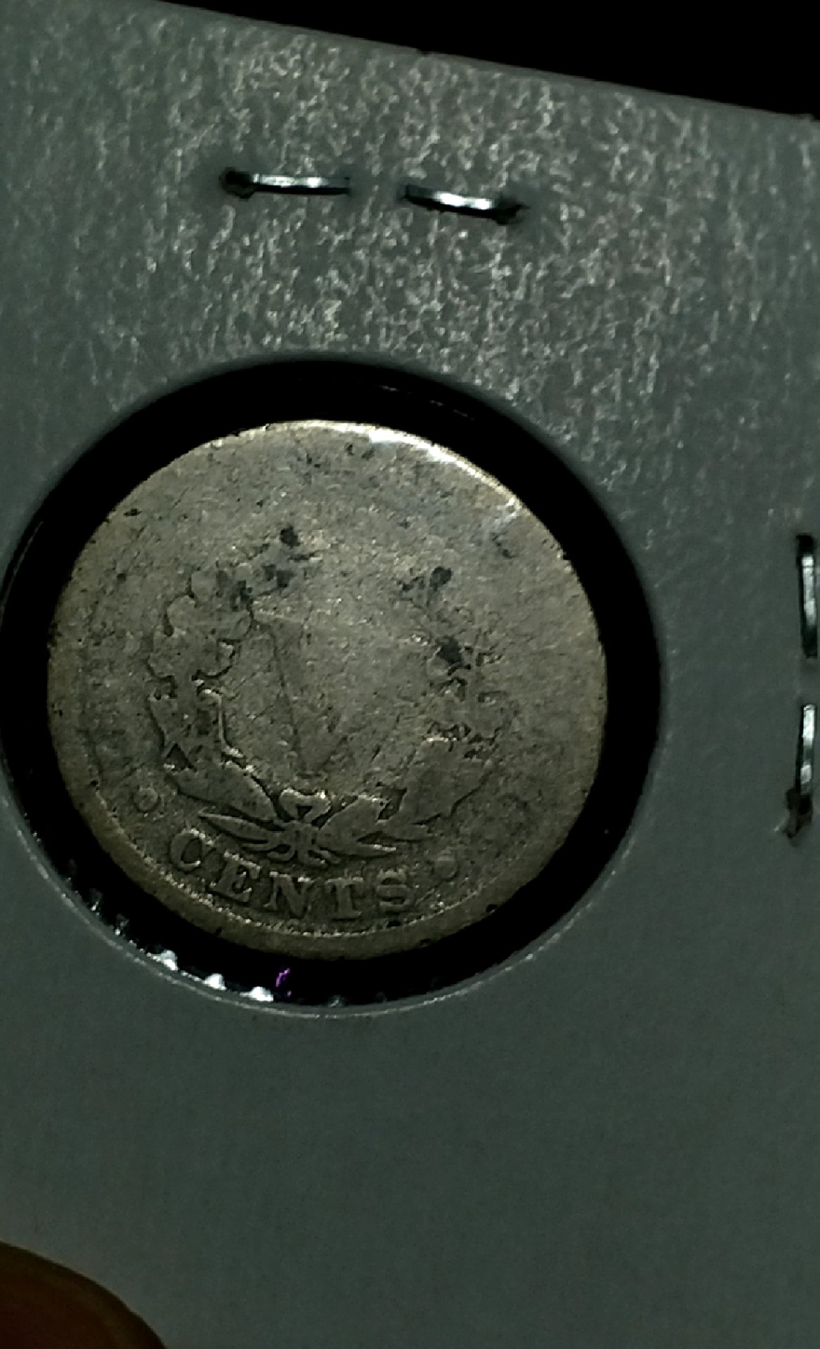 CM190202-135147009.jpg