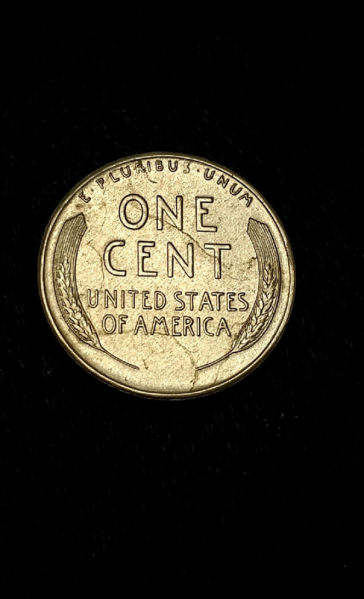 CM190202-170853014.jpg