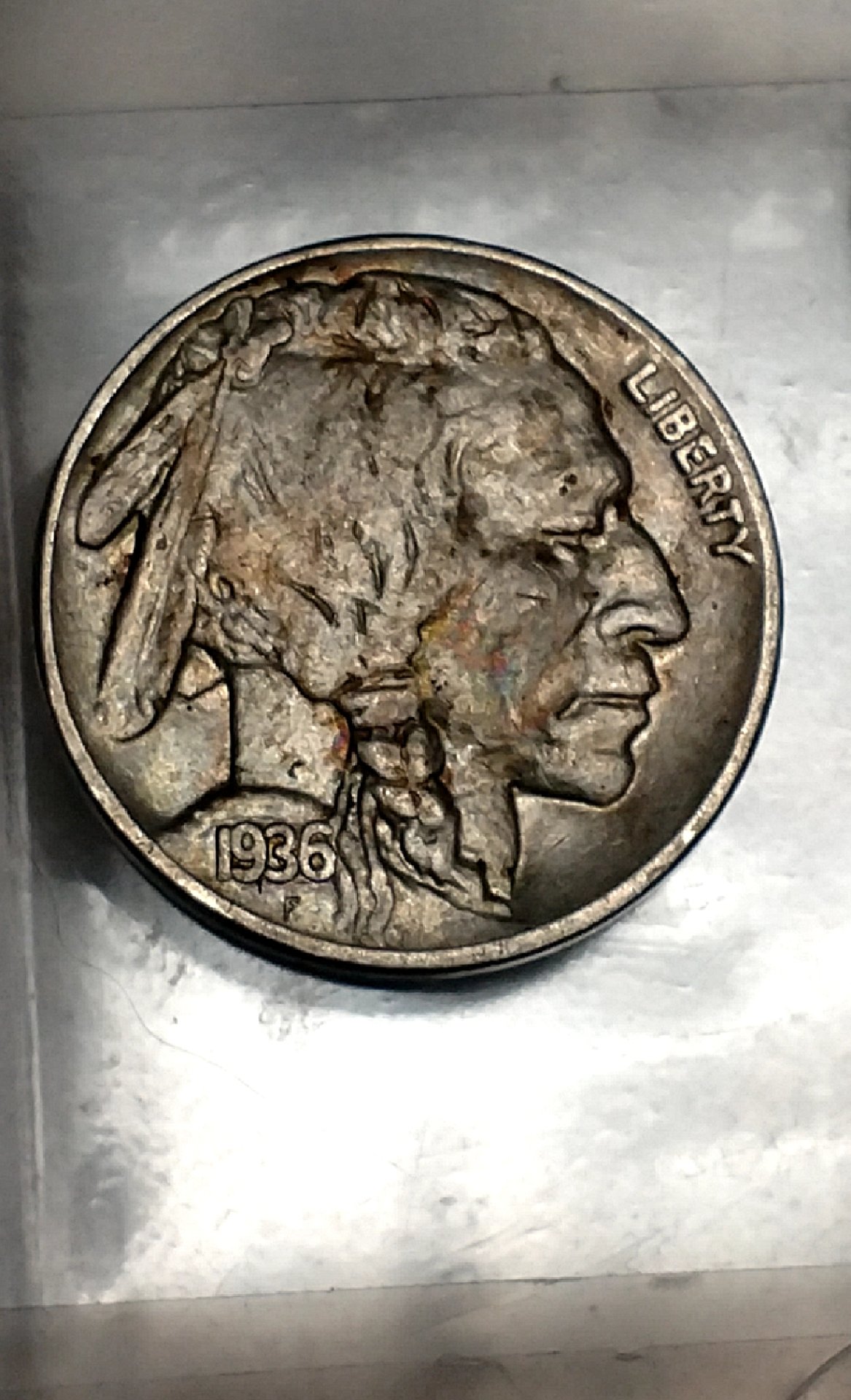 CM190204-110054008.jpg
