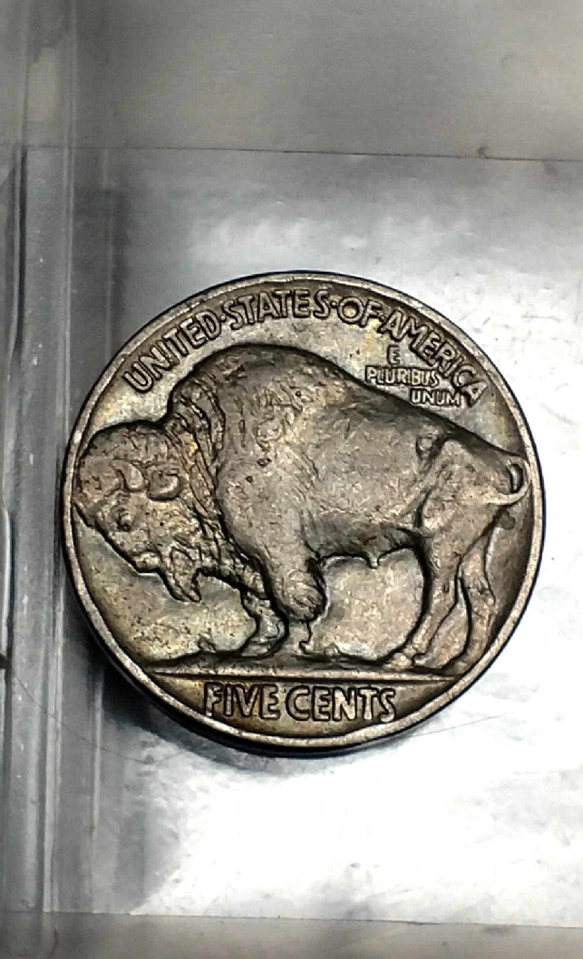 CM190204-110121010.jpg