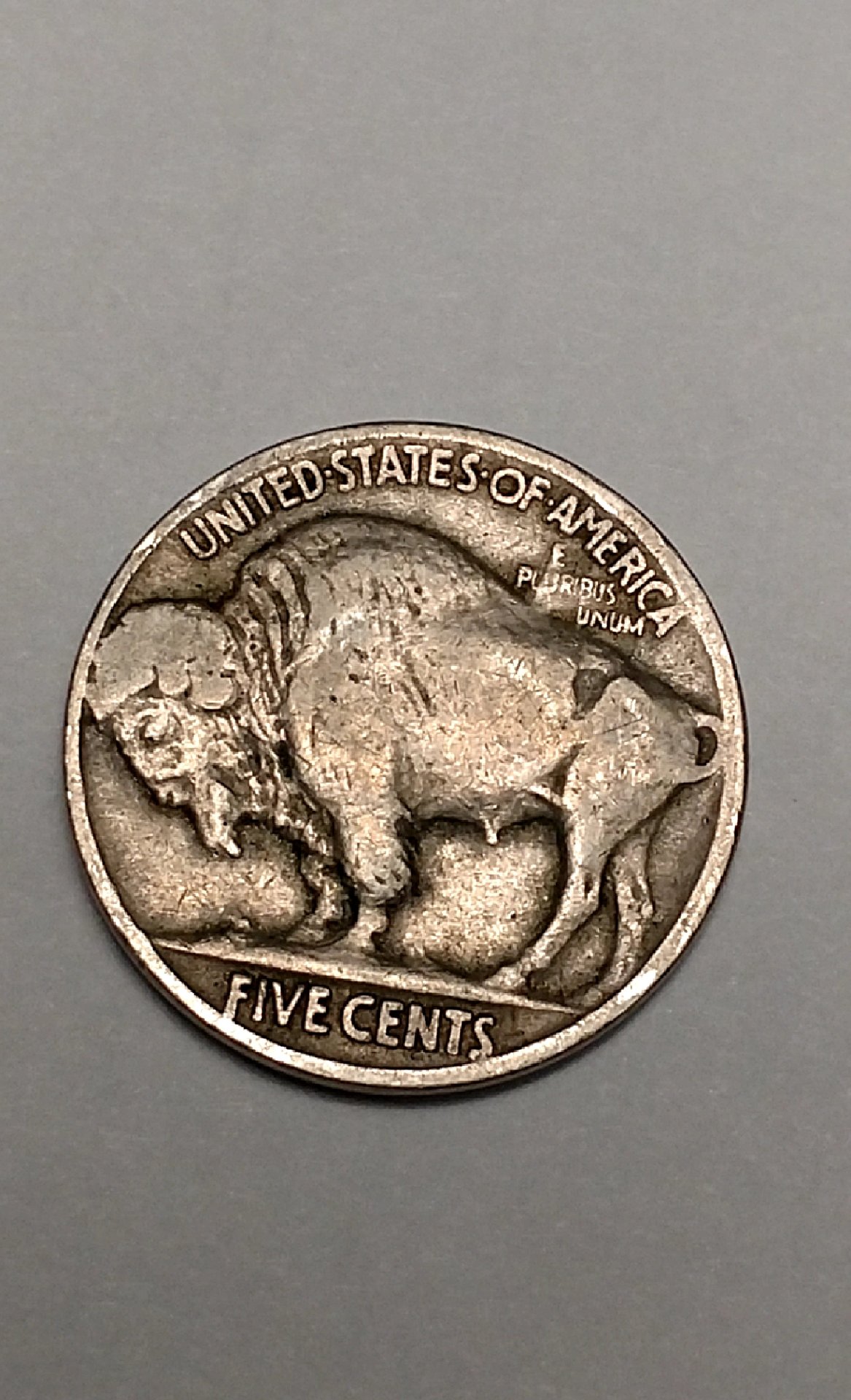 CM190204-165549017.jpg