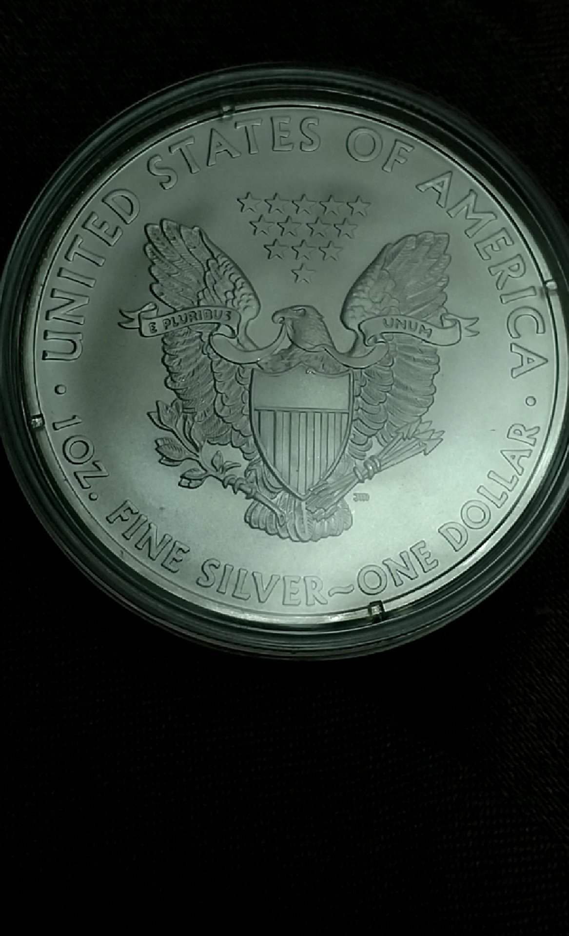 CM190215-163750002.jpg