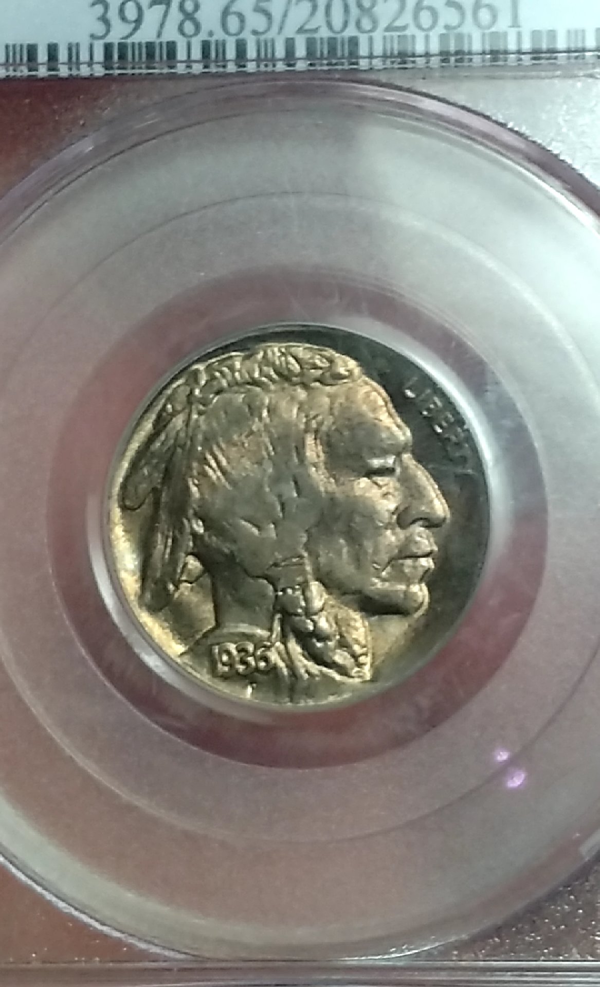 CM190215-163917003.jpg