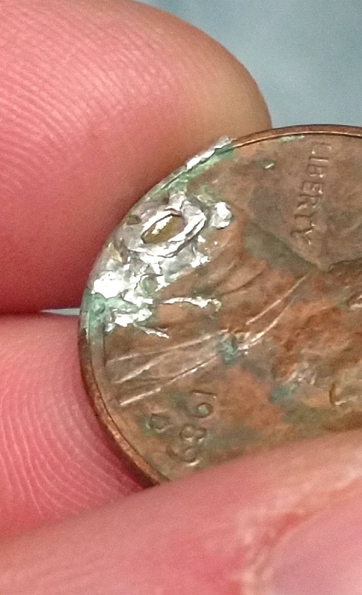 CM190302-202128013.jpg