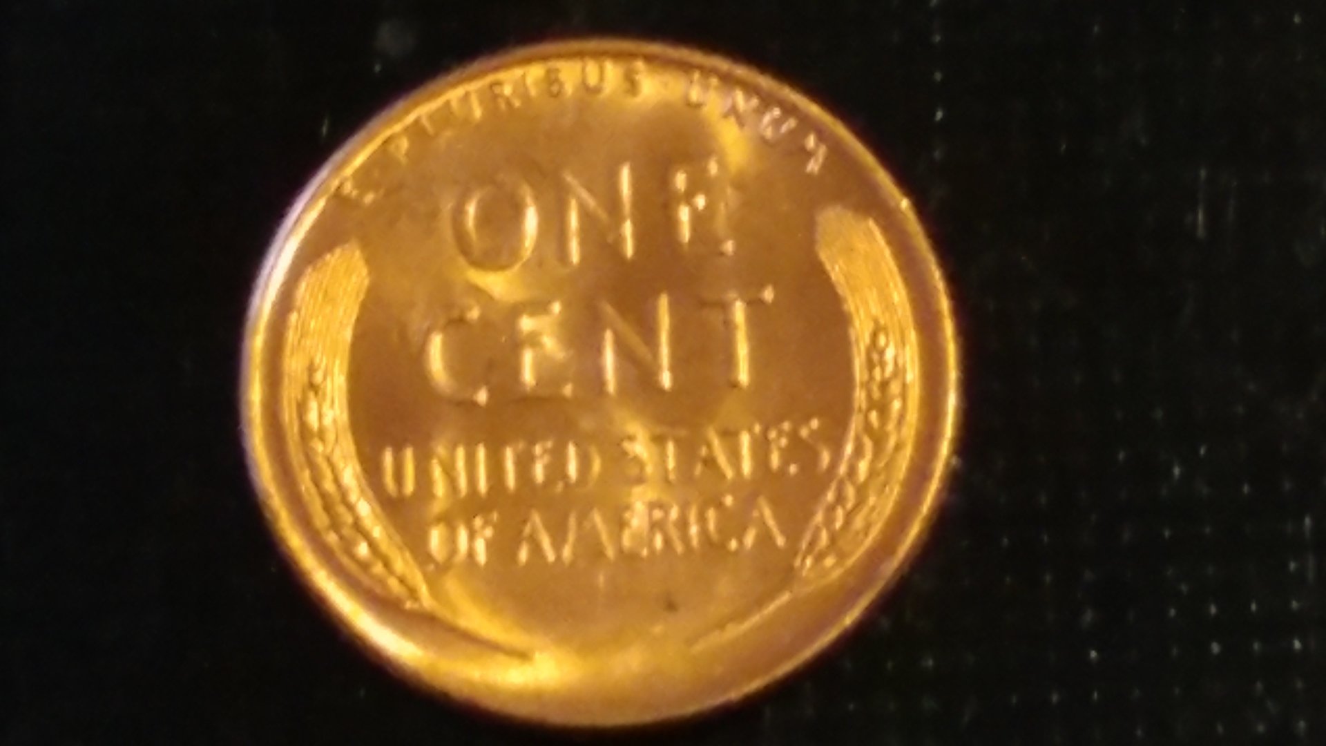 CM190305-173403023.jpg