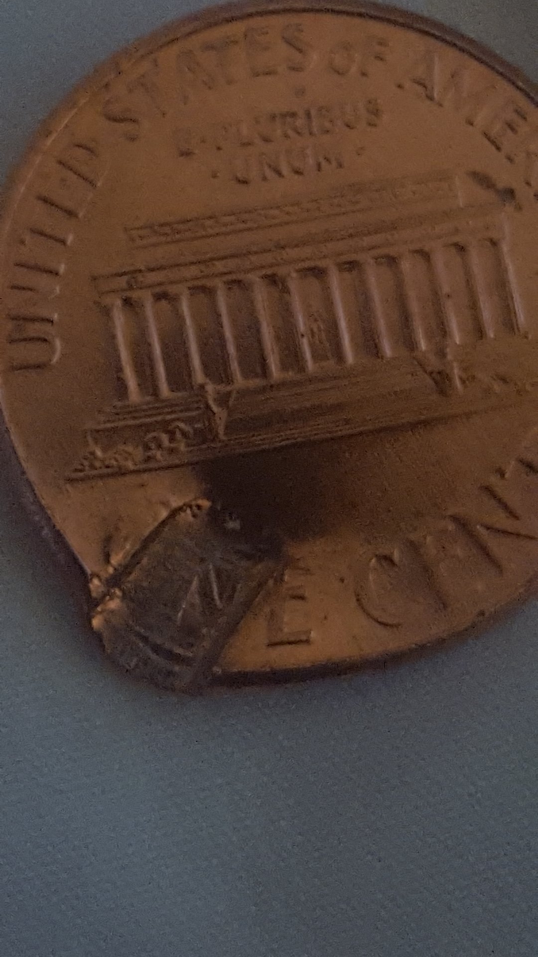 CM190305-181734001.jpg
