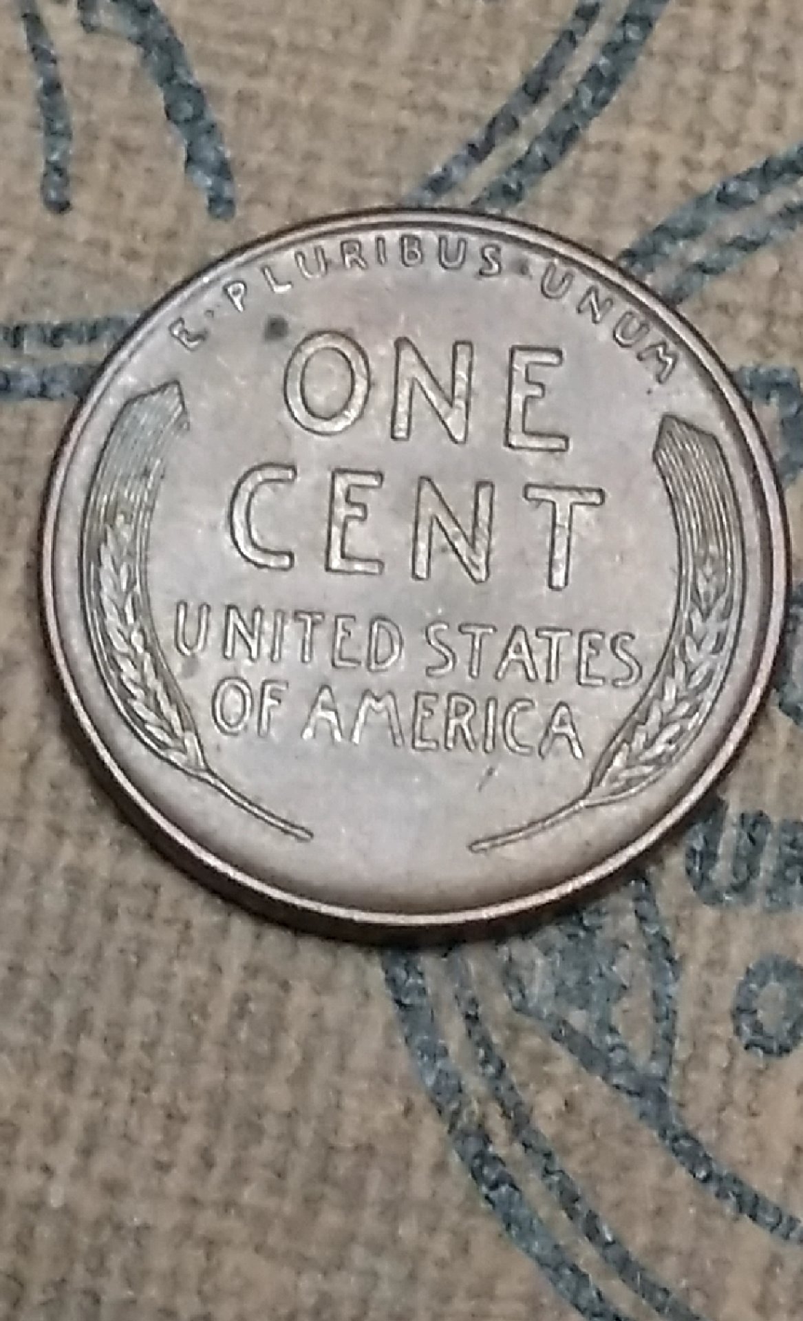 CM190305-182341003.jpg
