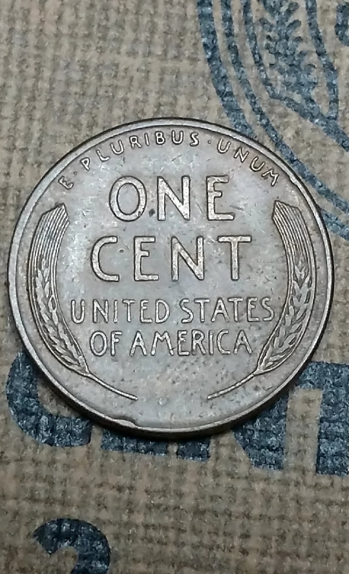 CM190305-182436006.jpg