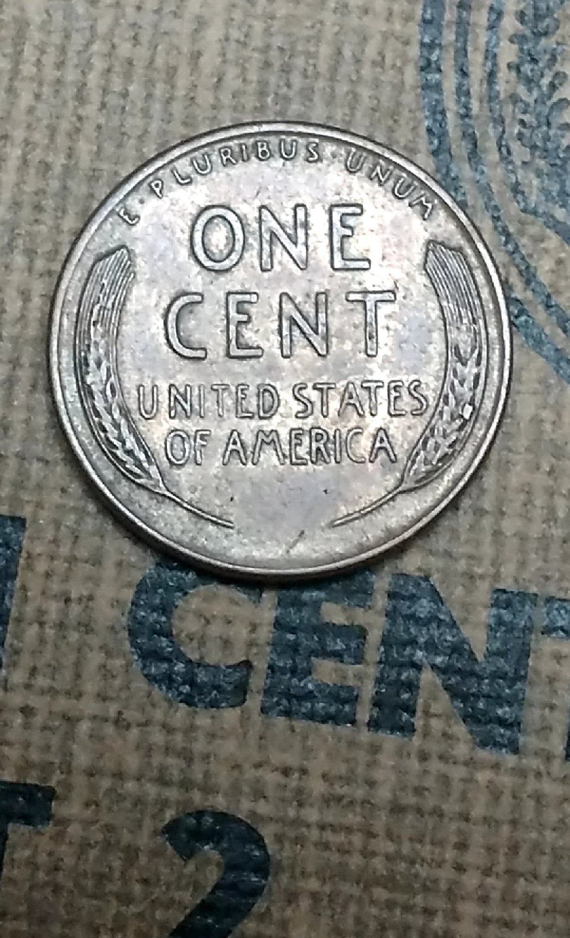 CM190305-182504008.jpg