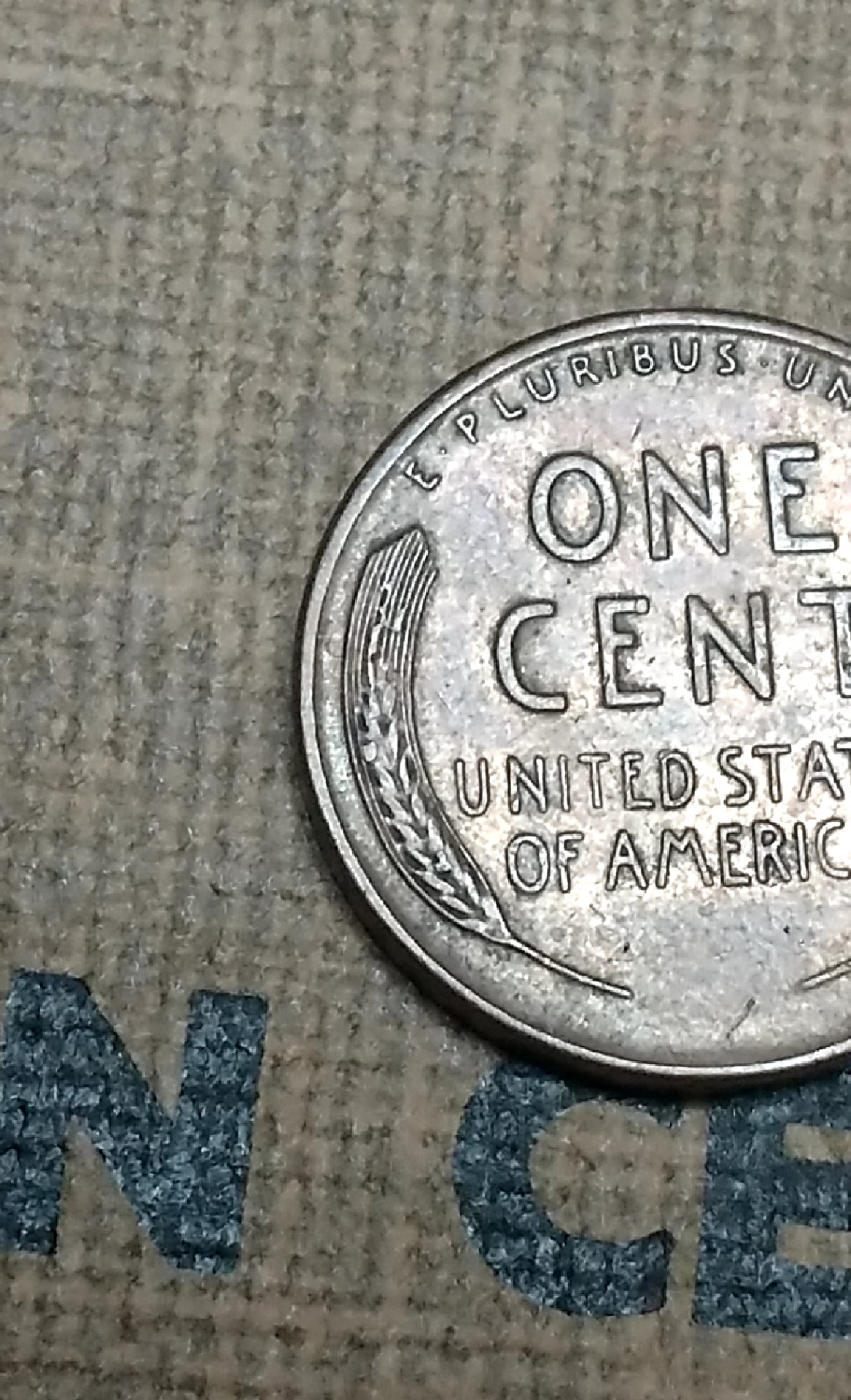 CM190305-182523009.jpg