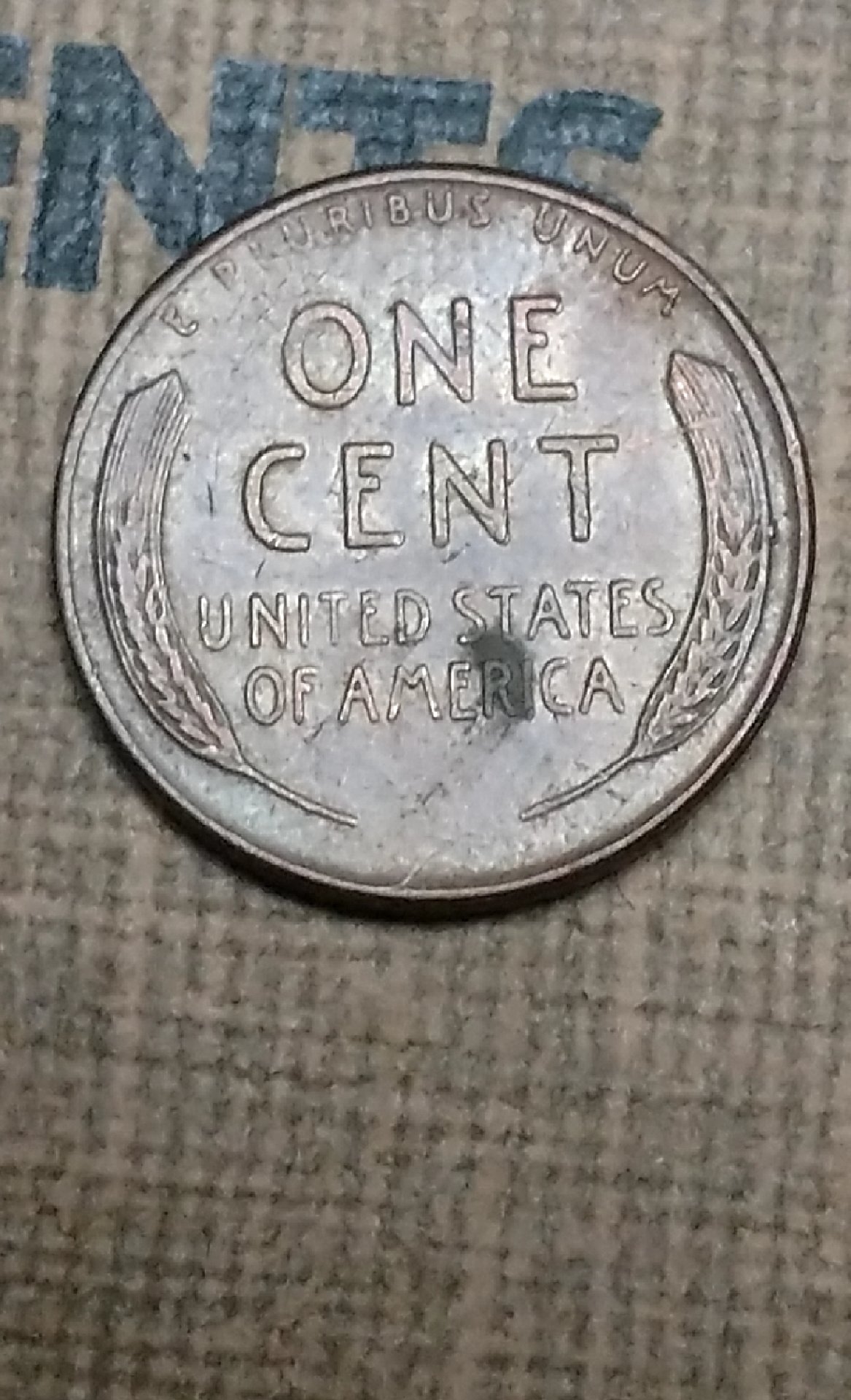 CM190305-182608012.jpg