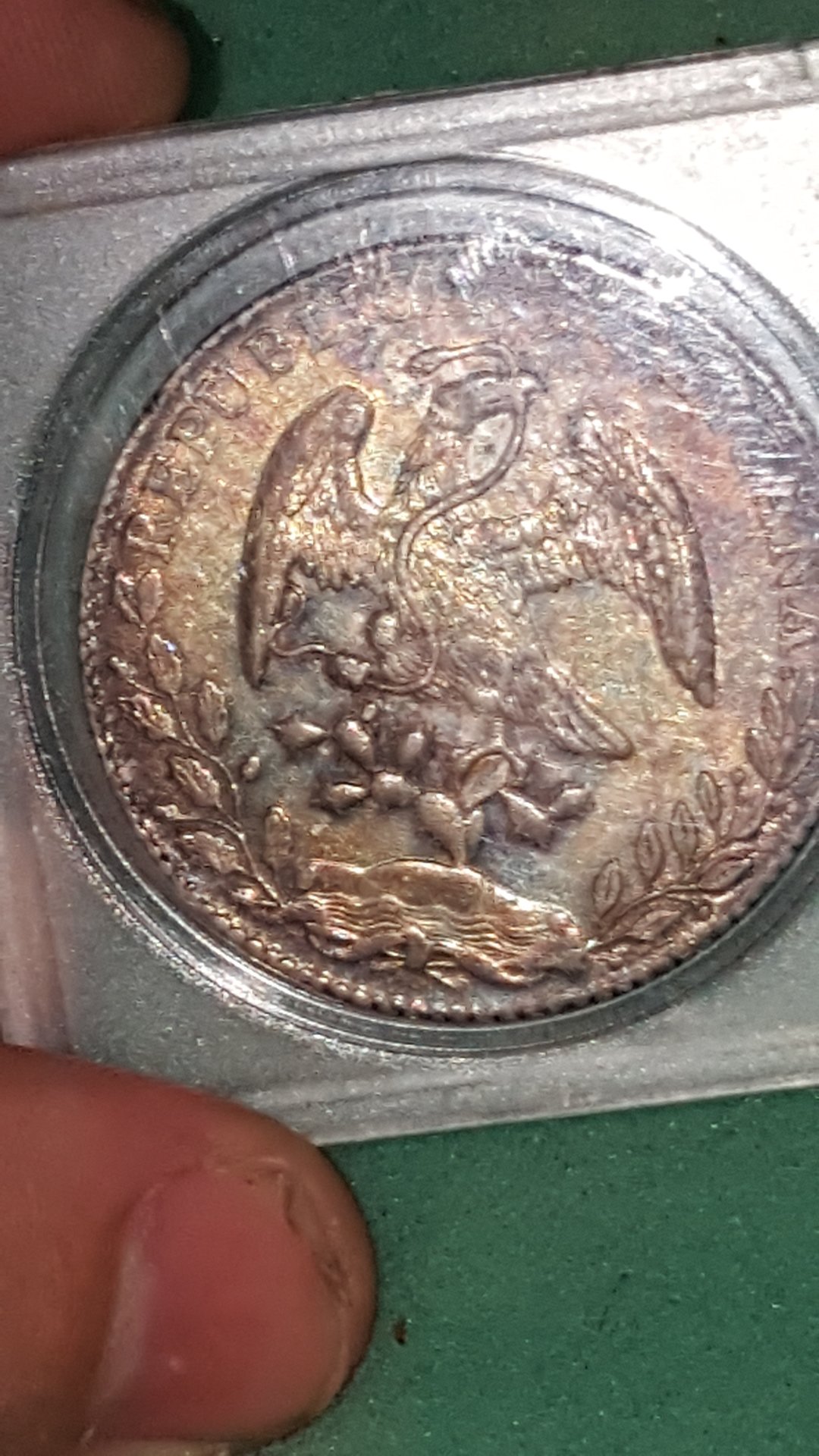 CM190305-191210004.jpg