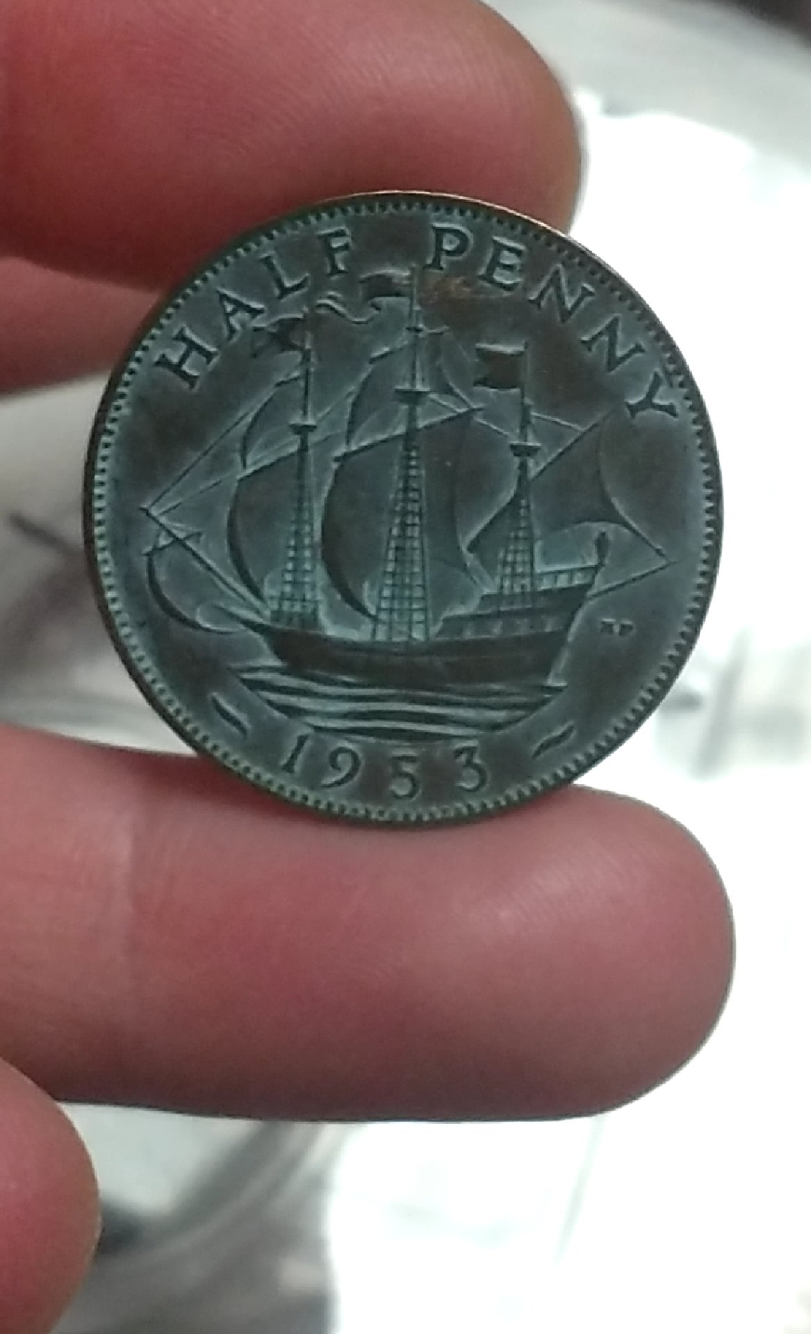 CM190310-164957001.jpg