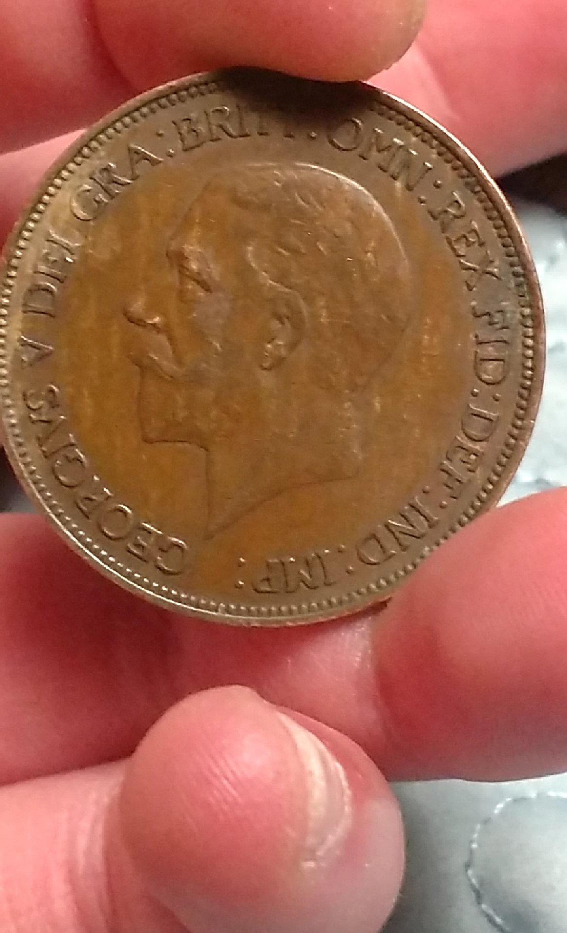 CM190310-195007001.jpg