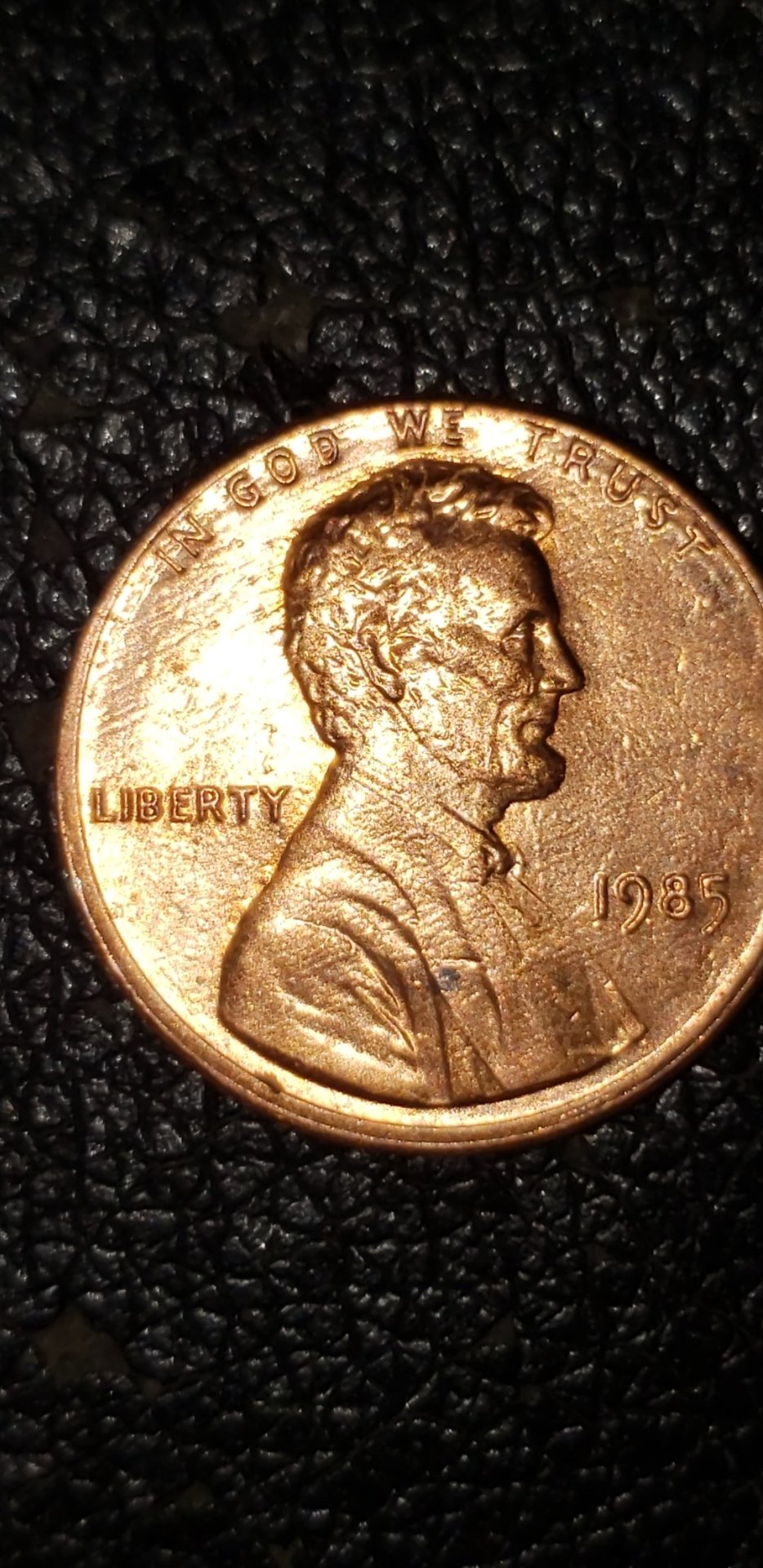 CM190311-191241003-ccfopt.jpg