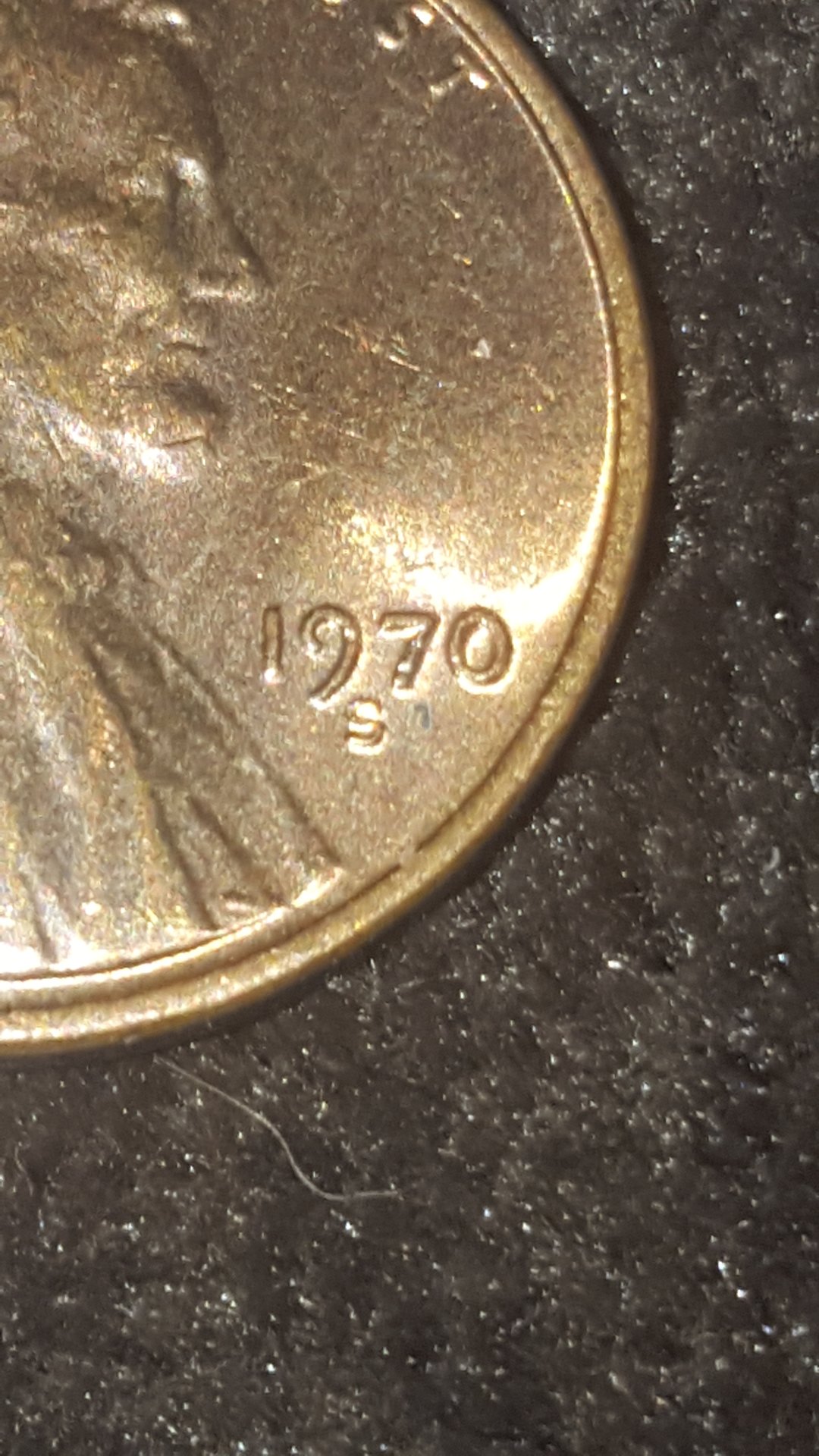 CM190313-173944001.jpg