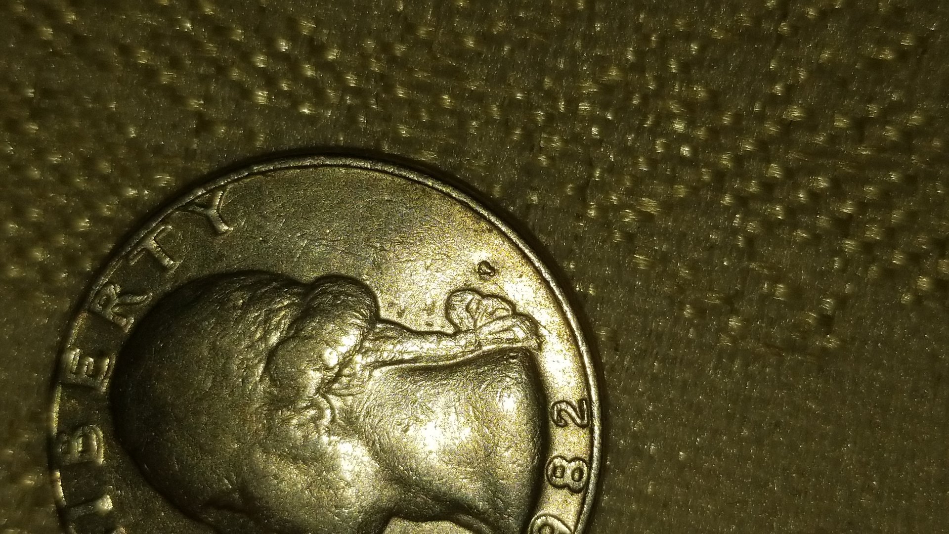 CM190316-193758001.jpg