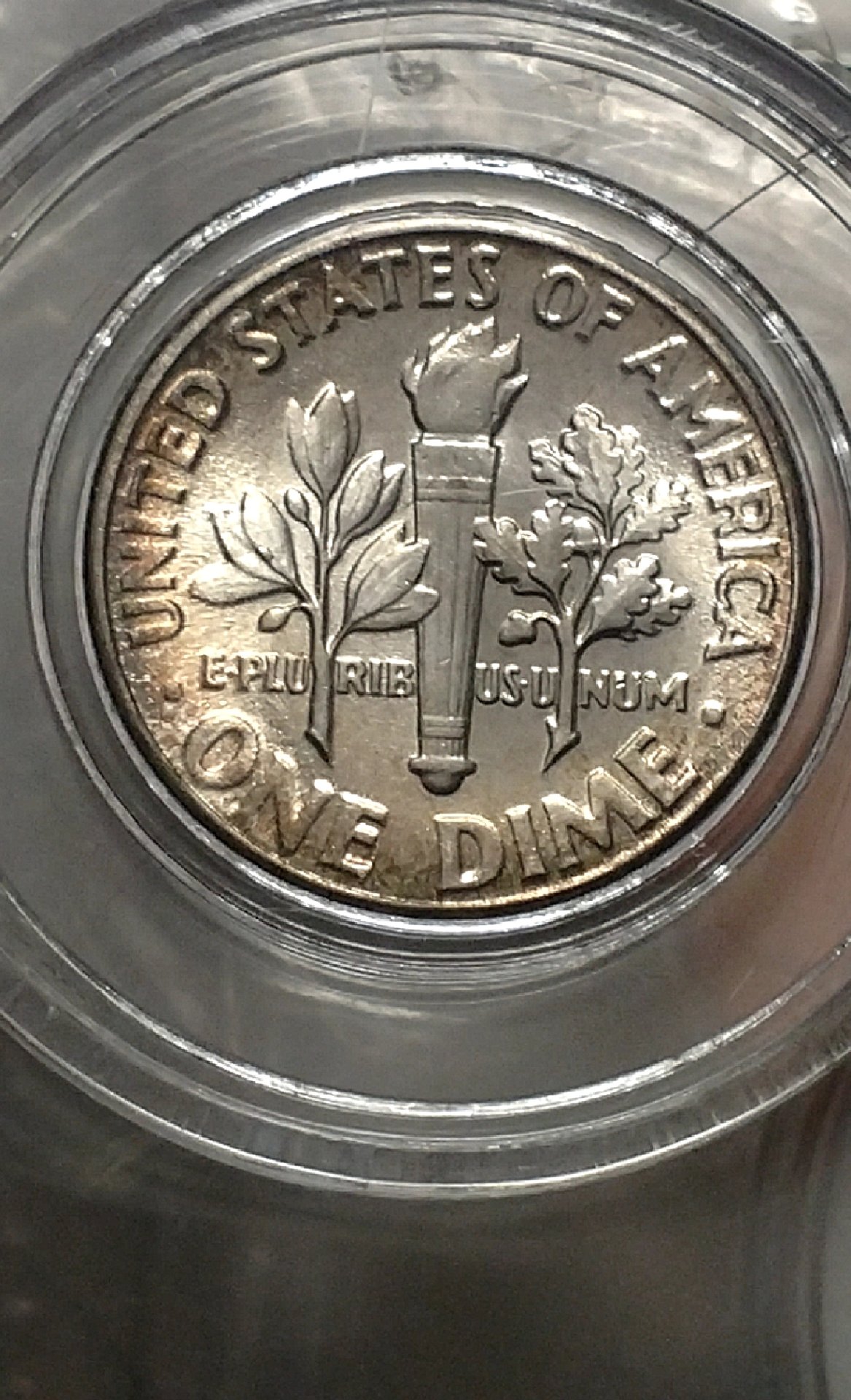 CM190318-182840003.jpg