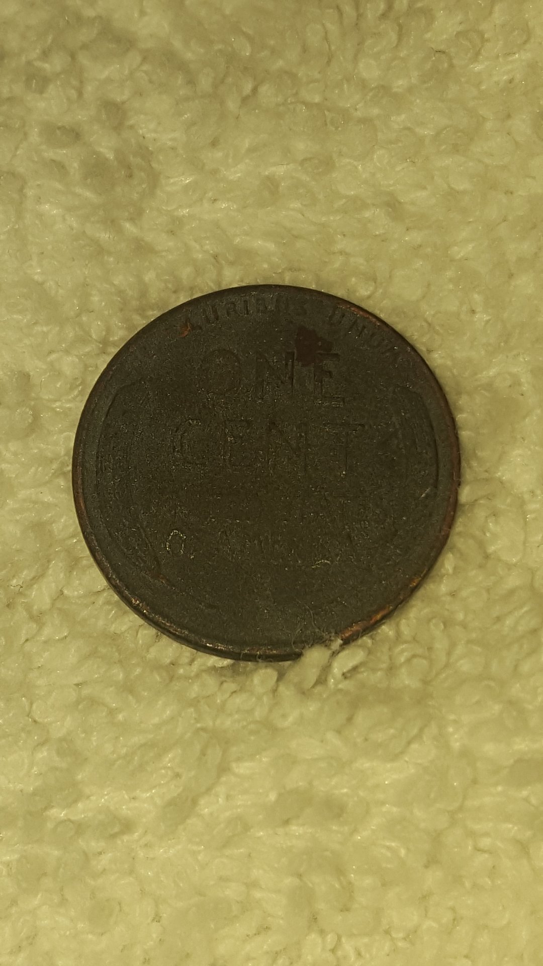 CM190324-021932002.jpg