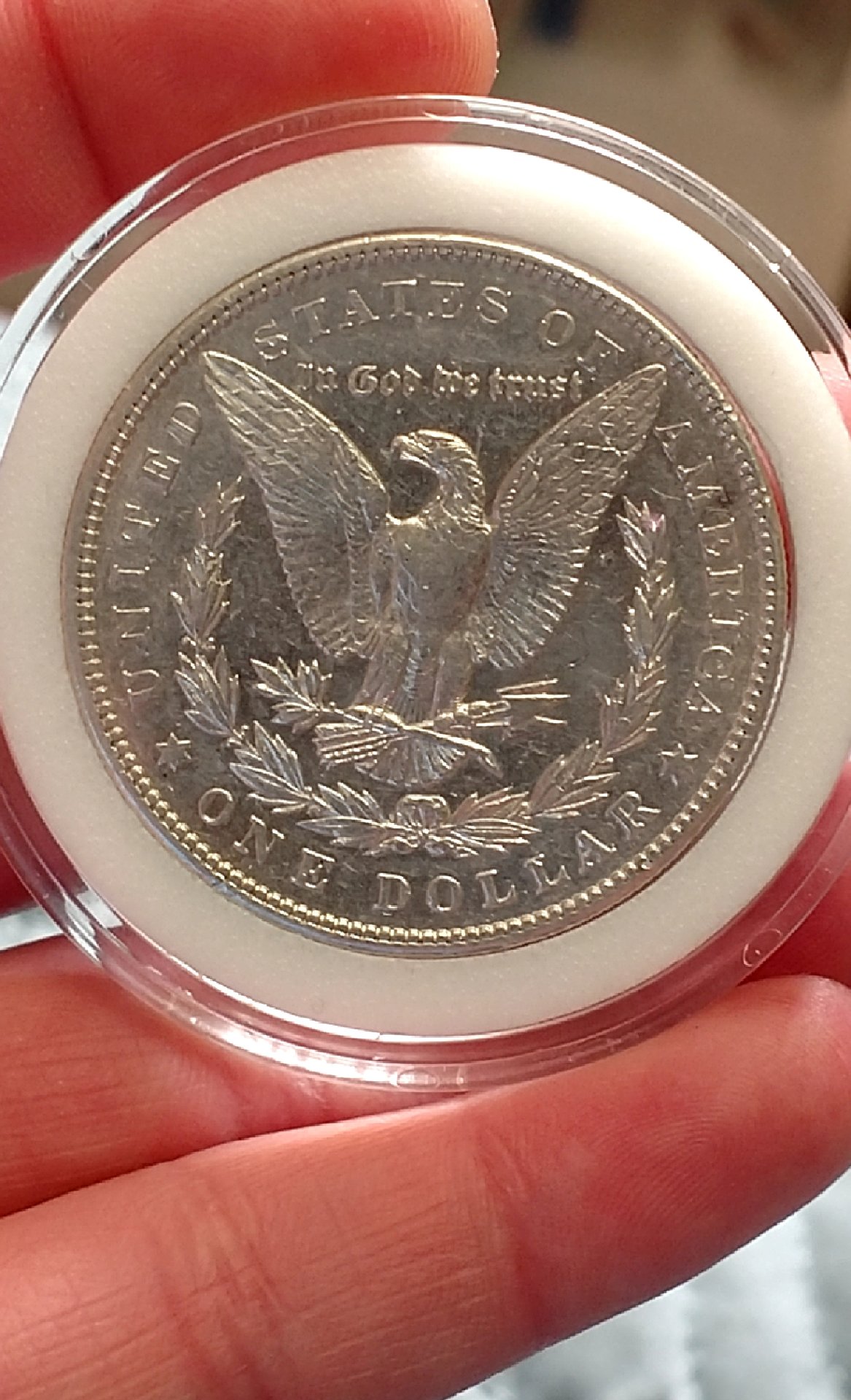 CM190324-151936002.jpg