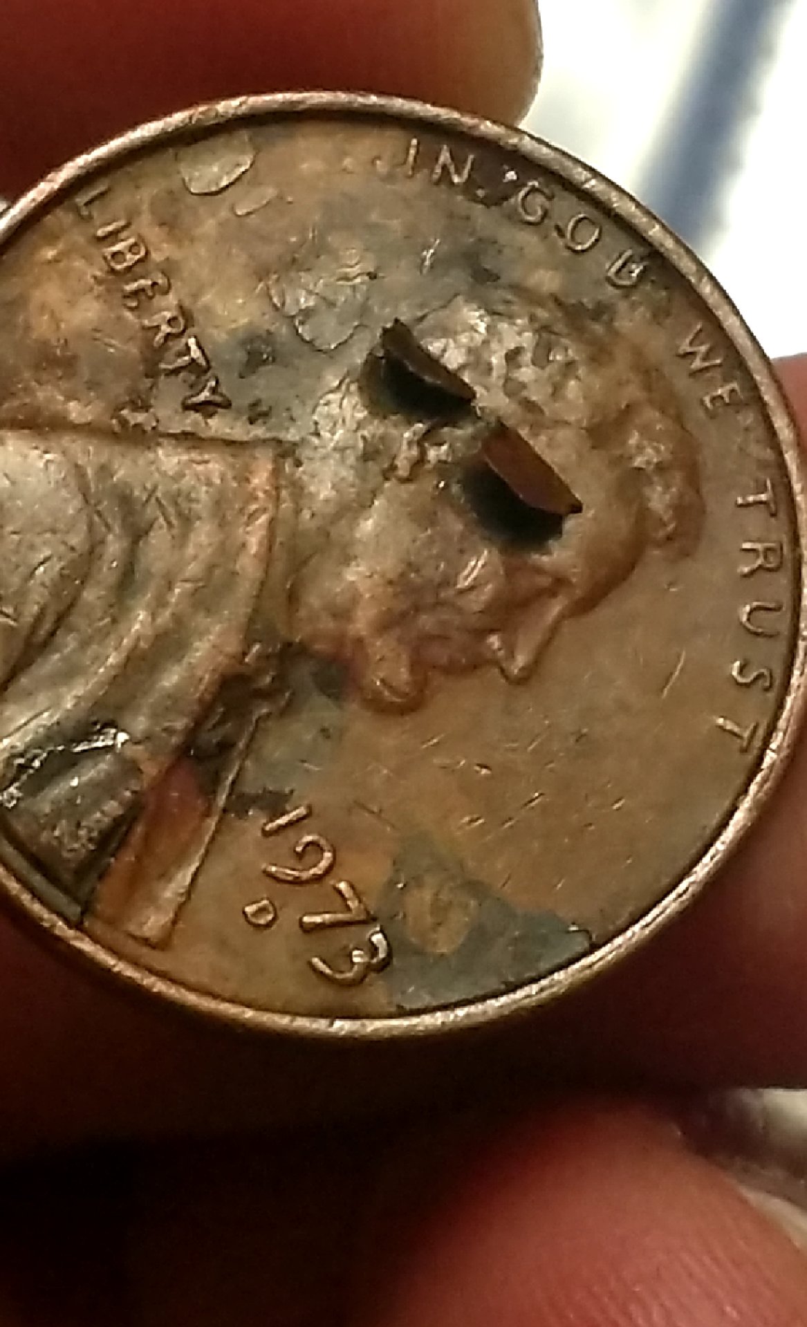 CM190325-202250003.jpg